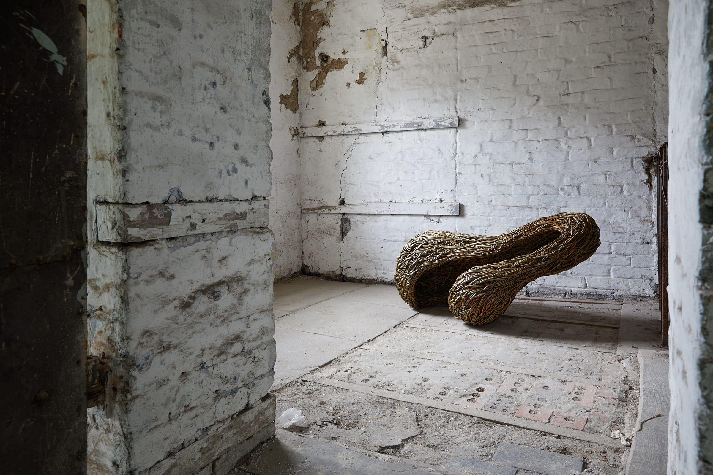 Laura Ellen Bacon, Seeker, 2021