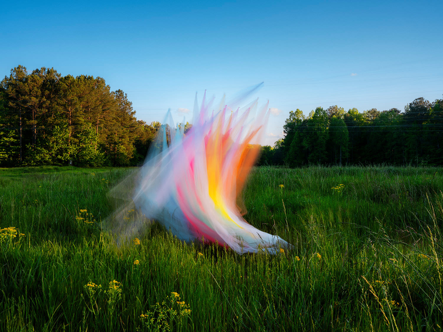 Thomas Jackson, Tulle no. 52, Serenbe, GA, 2023