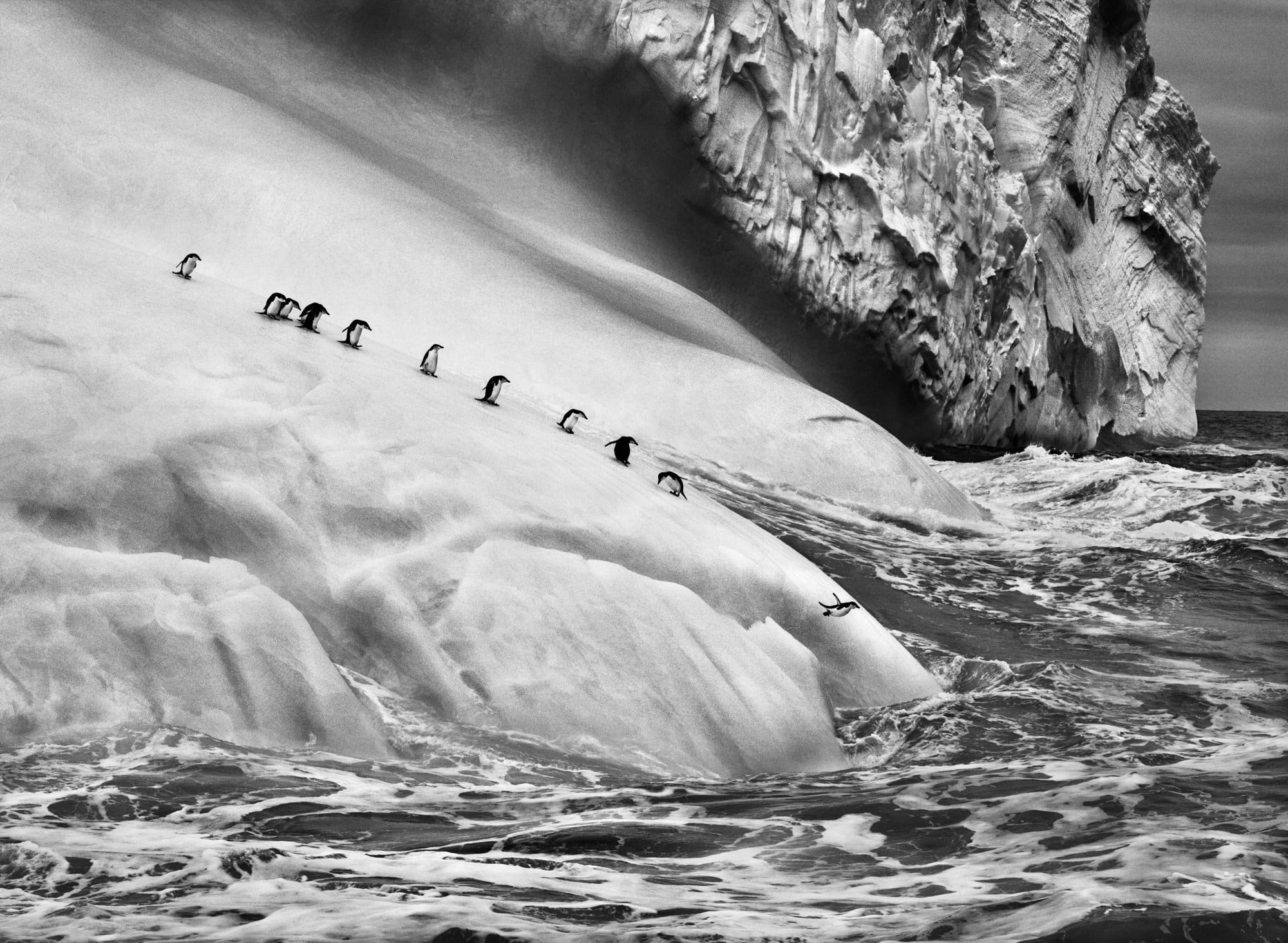 Sebastião Salgado, Chinstrap penguins, Zavodovski and Visokoi Islands, South Sandwich Islands, November and December, 2009