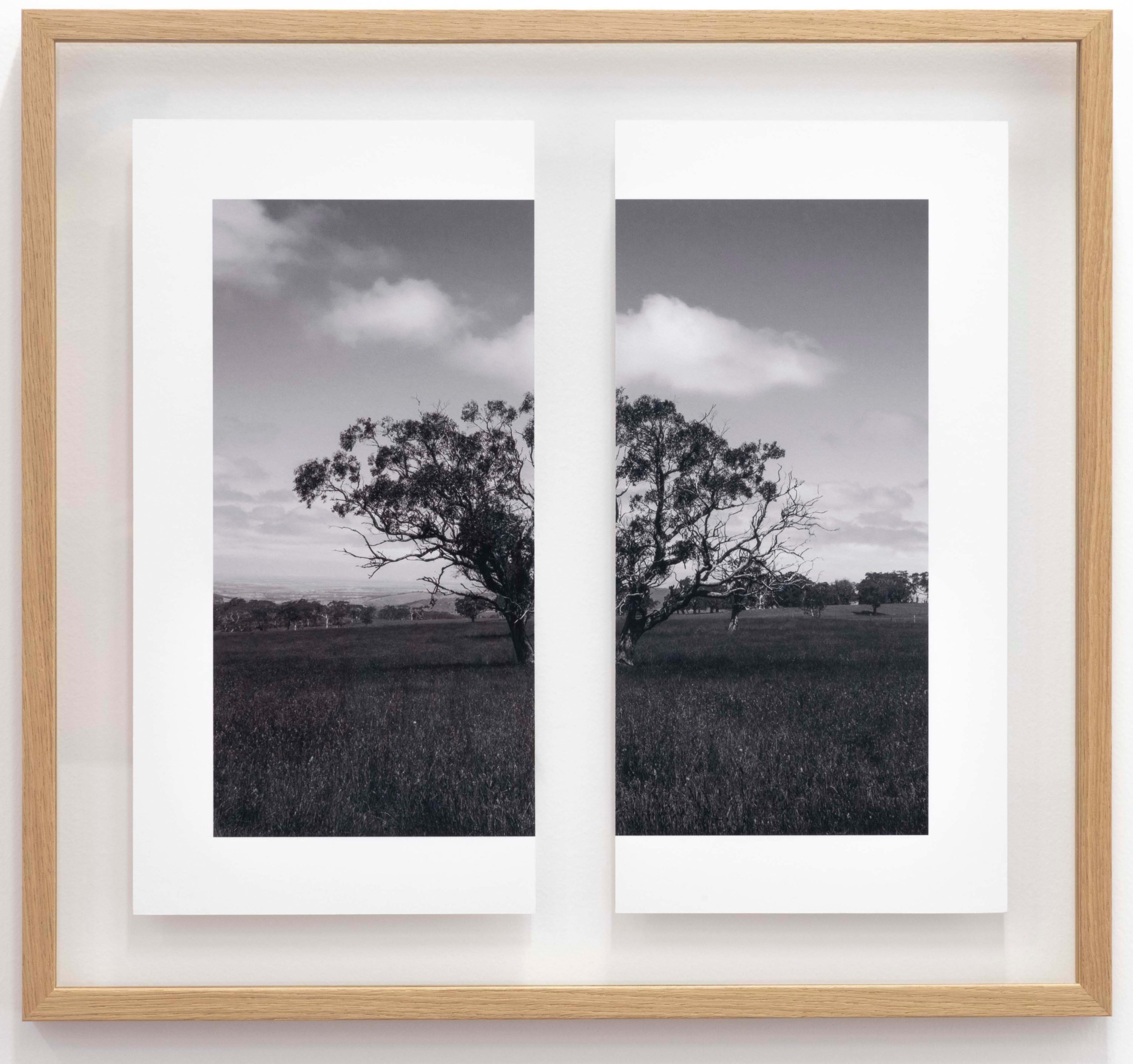 James Tylor Tapa-arra Through the Landscape 12, 2024 cut photograph in glass frame 50 x 55 cm