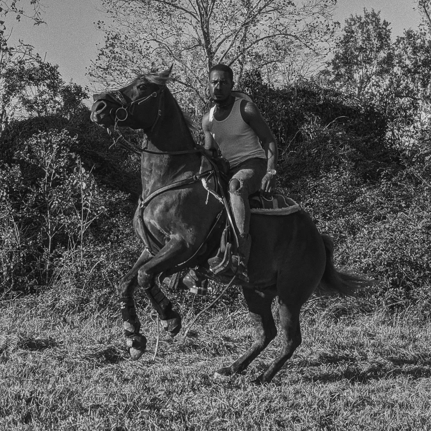 Kennedi Carter, Marlon, 2020