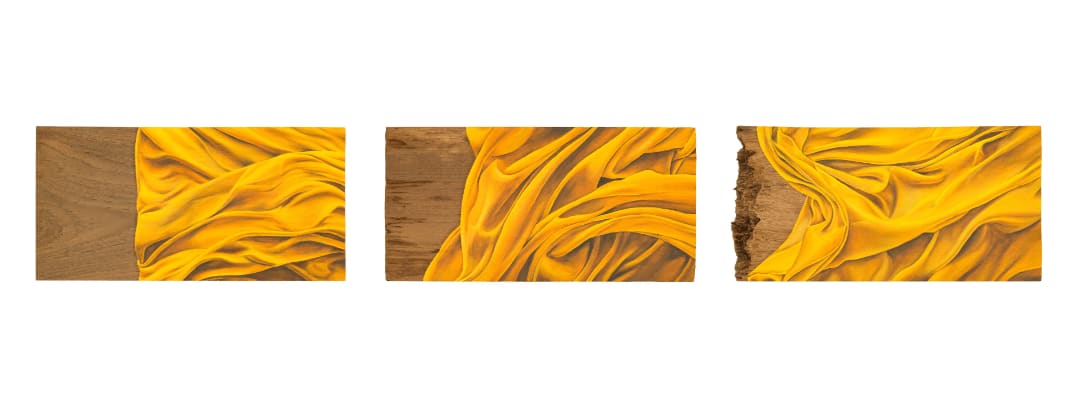 Malinda Jayasinghe, Saffron Borders II, 2024