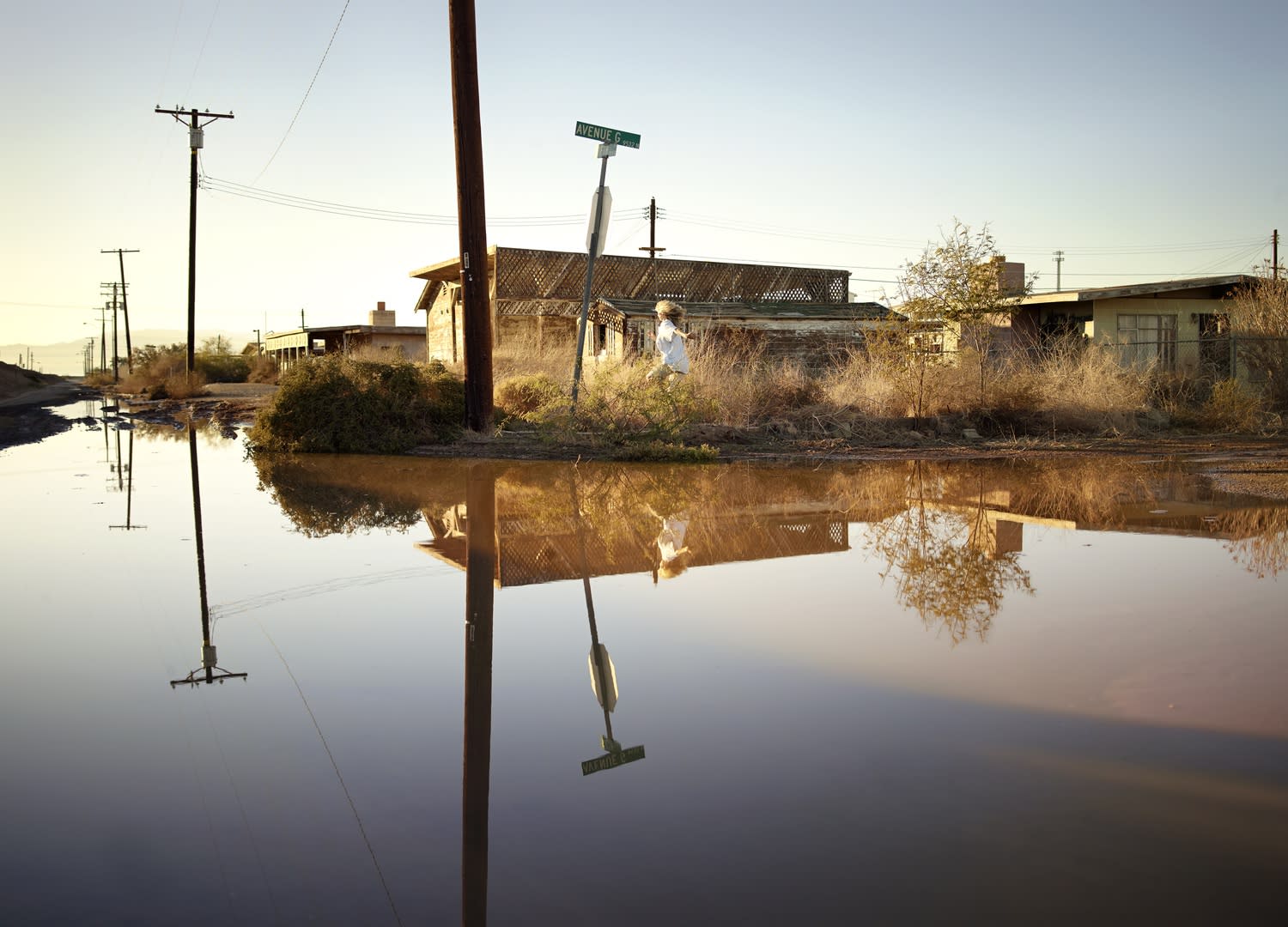 Tabitha Soren Holly, Running 05539, 2012 Signed on mount verso 22 x 29 inch archival pigment print Edition of 7...