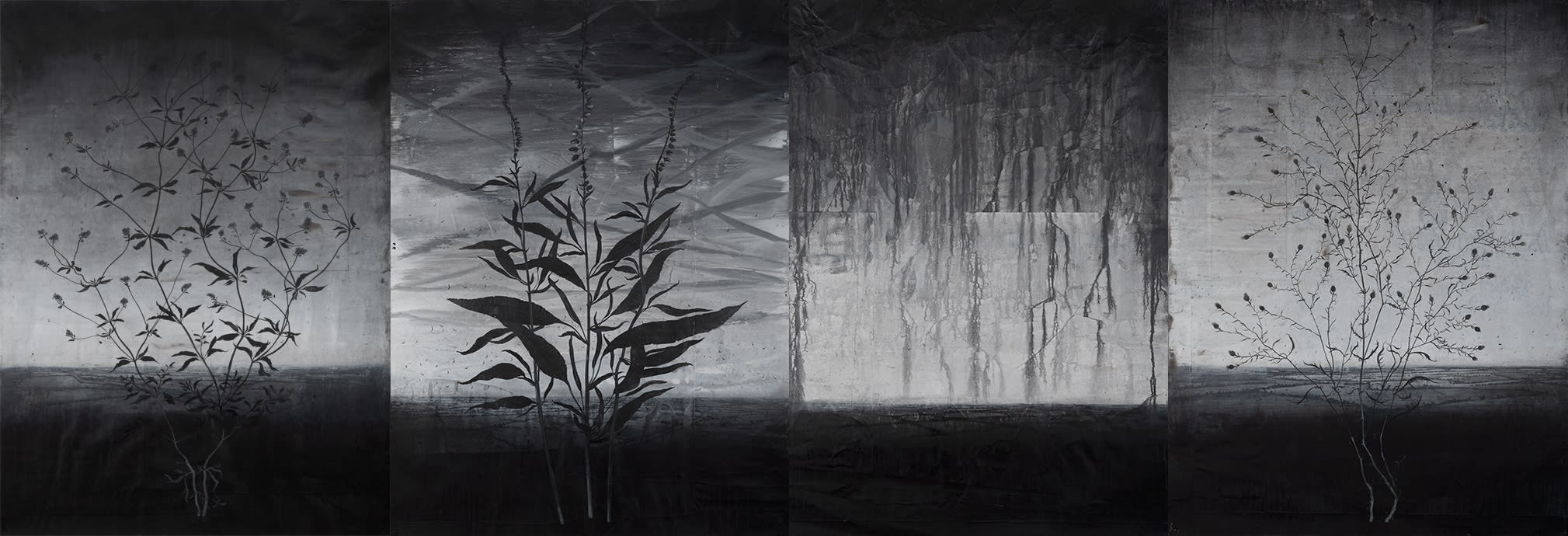 MICHAEL CANNING