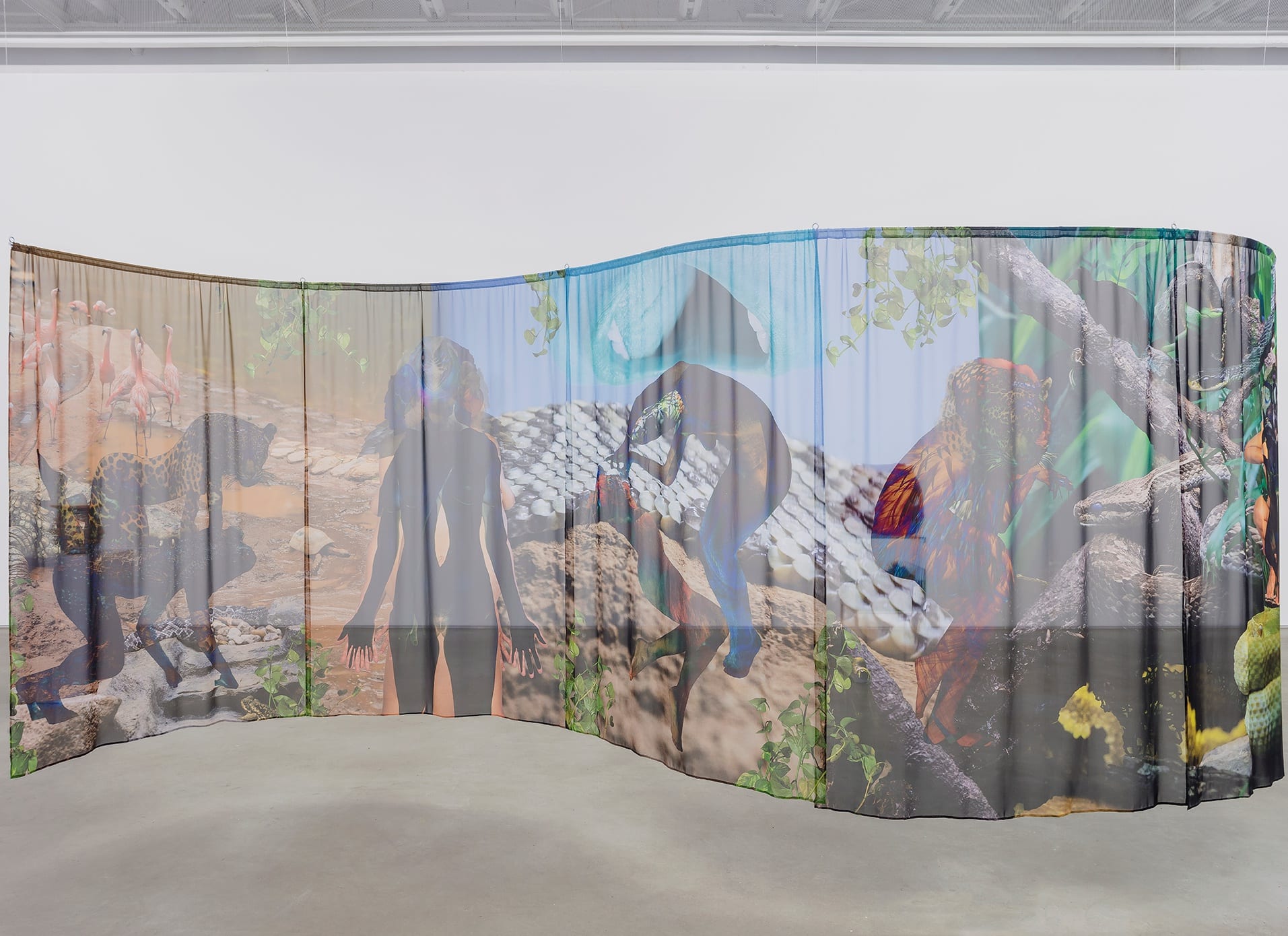 JULIANA CERQUEIRA LEITE, ANIMAIS MEDIADOS [MEDIATED ANIMALS]