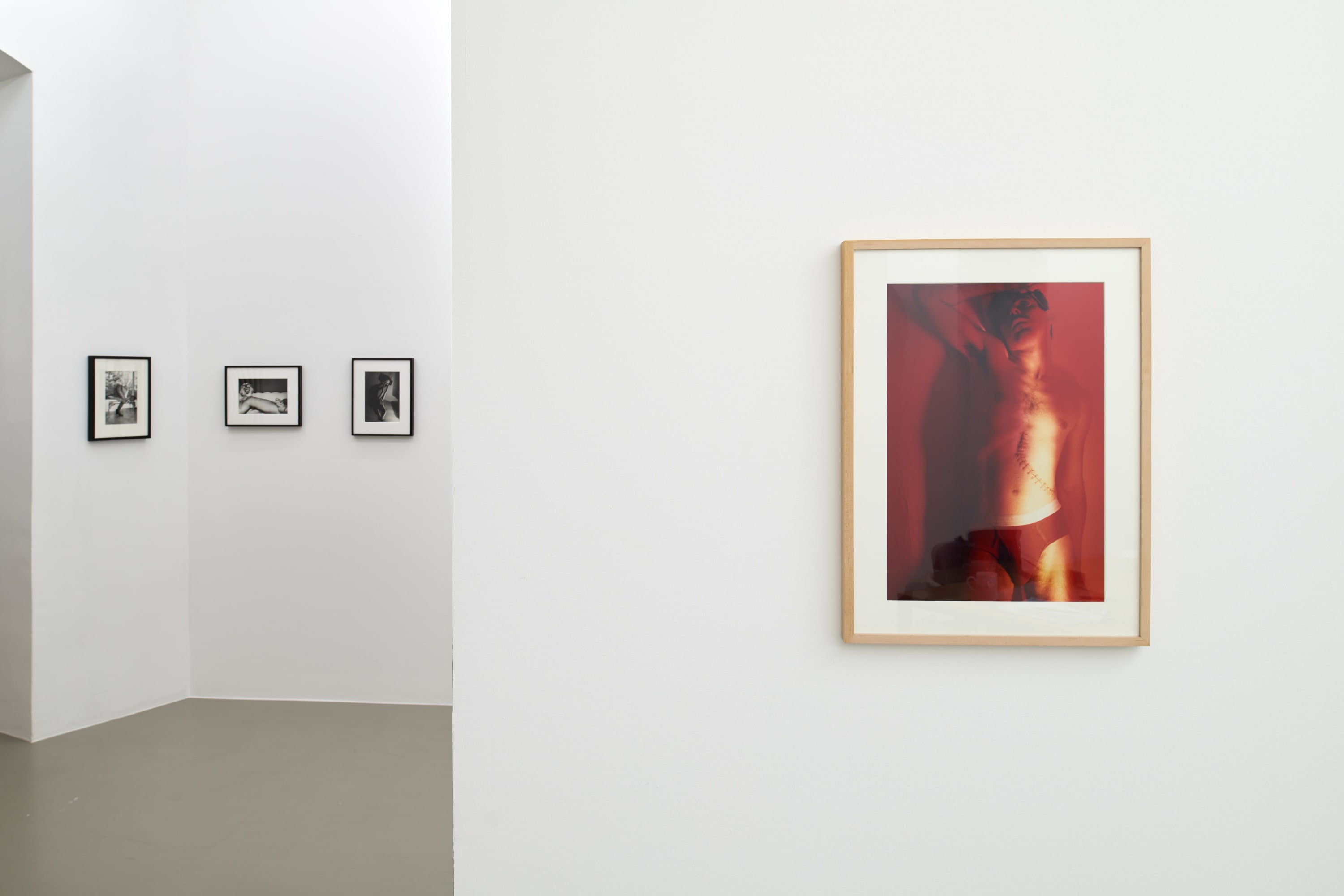 Jimmy DeSana (1949, Detroit–1990, New York) Recent solo and two-person exhibitions include the retrospective Submission at the Brooklyn Museum, New...