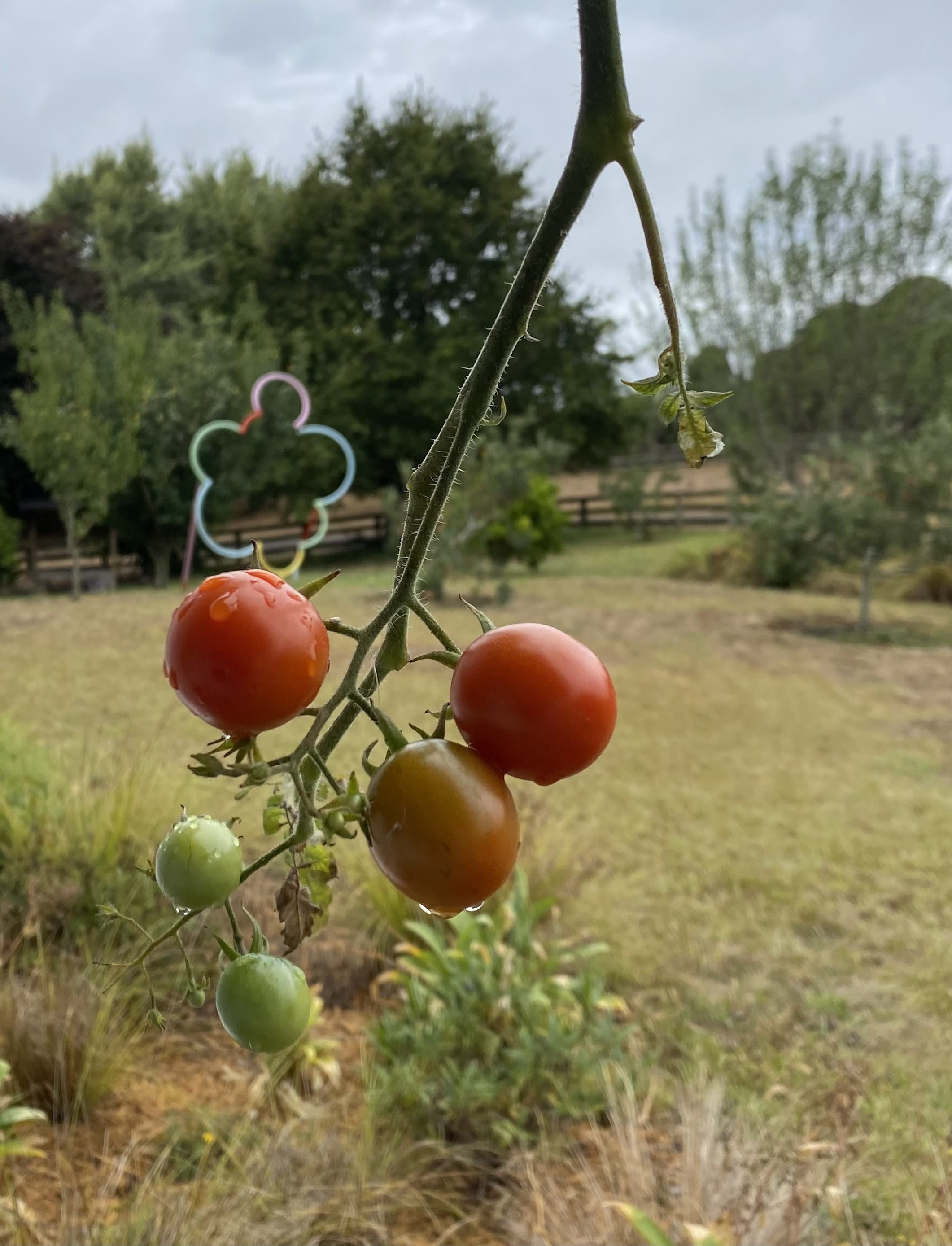 There is a lot of ironic pragmatism in Cheesman’s work. He enjoys asking the questions and he enjoys the scenery...