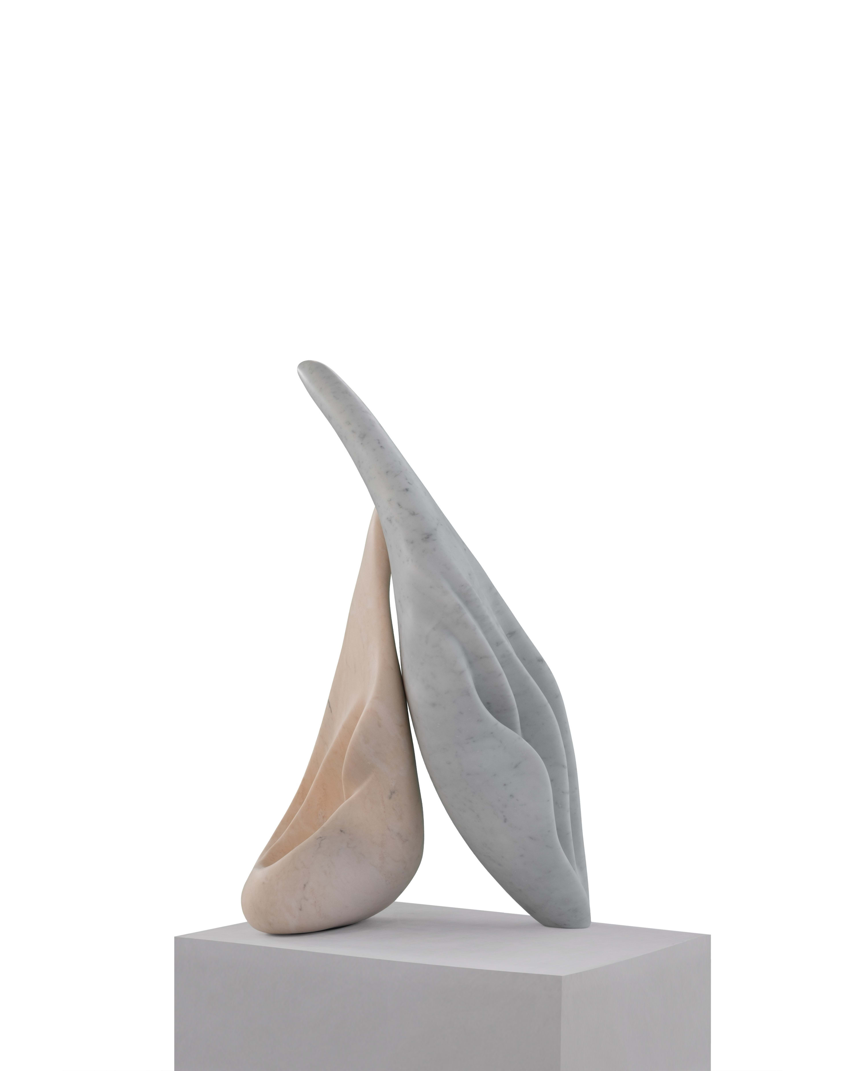 Encompassing, Kapsayan