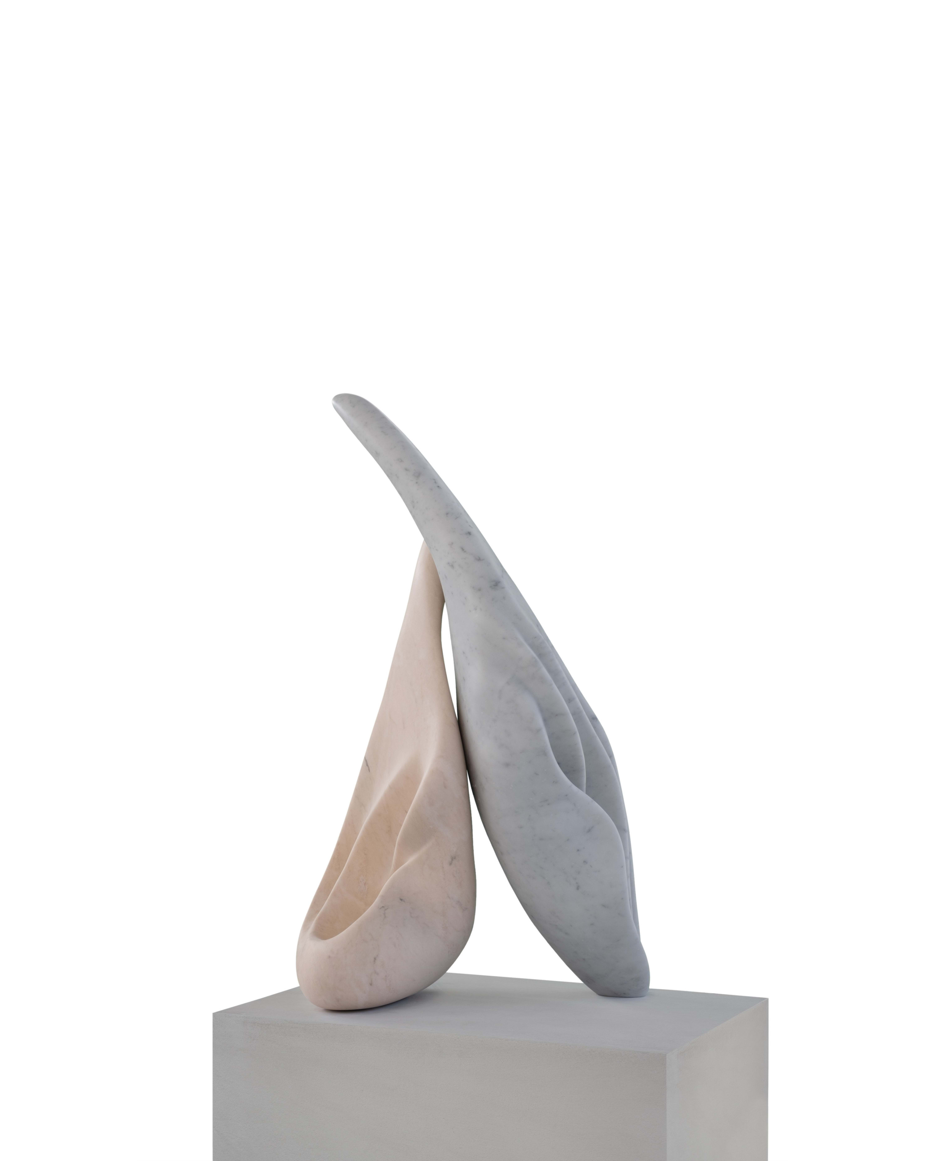 Encompassing, Kapsayan