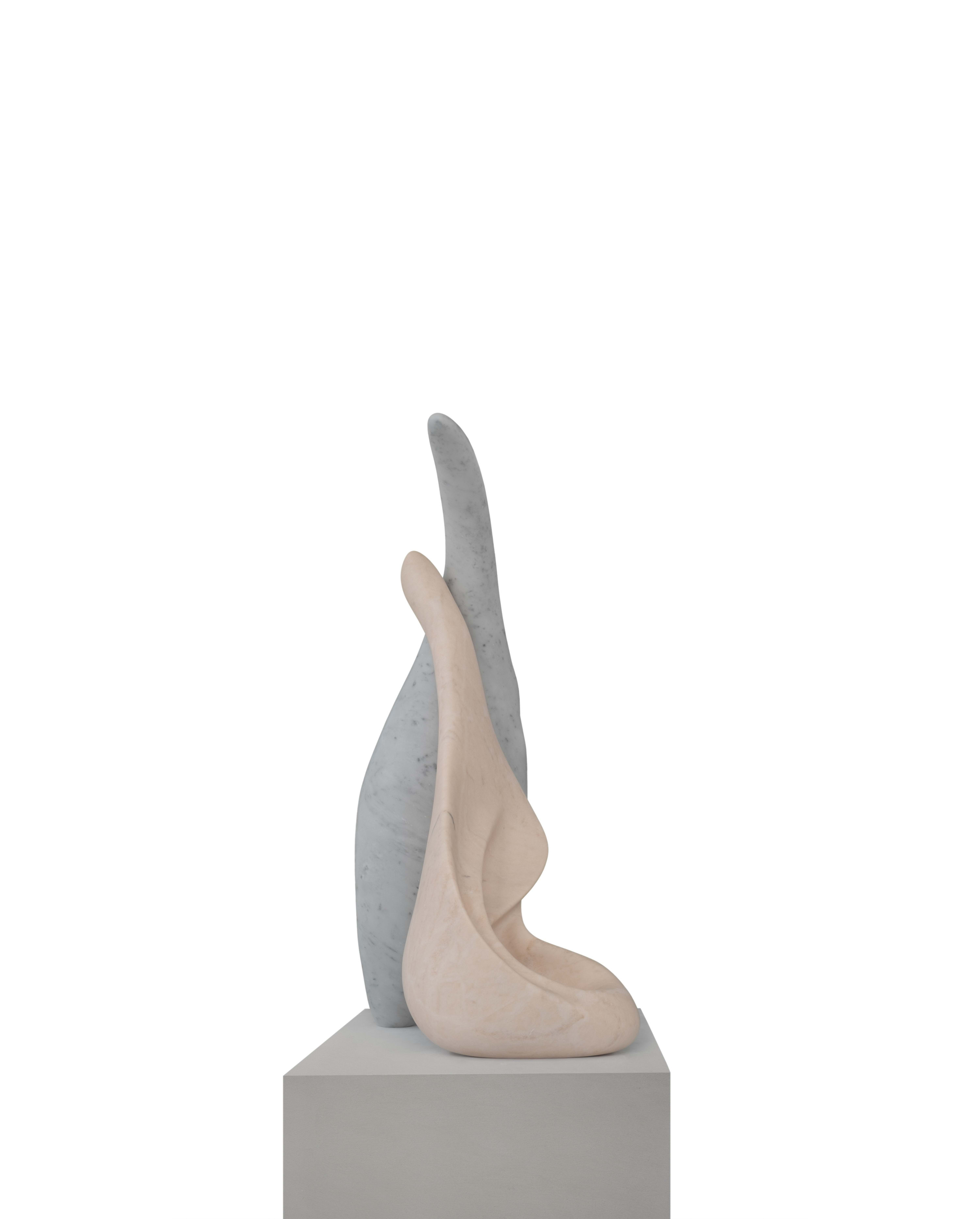 Encompassing, Kapsayan