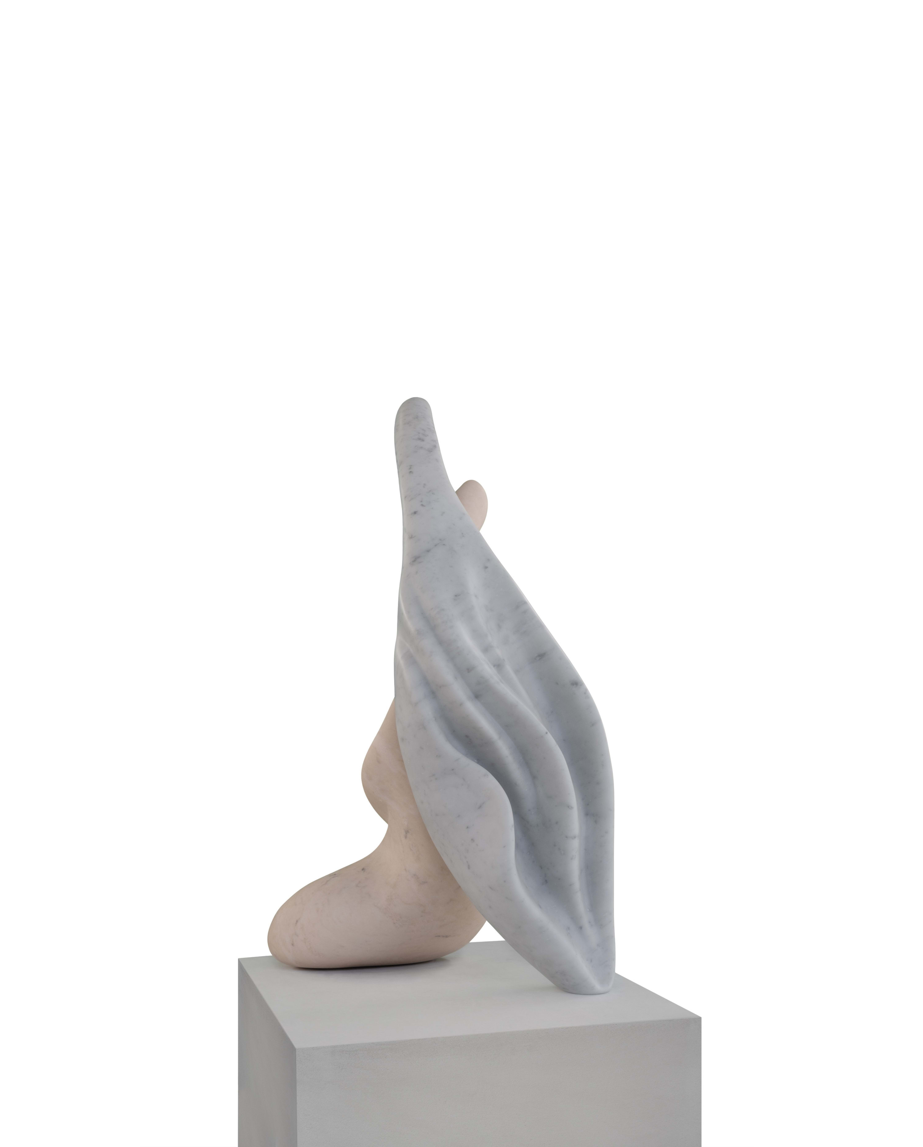 Encompassing, Kapsayan