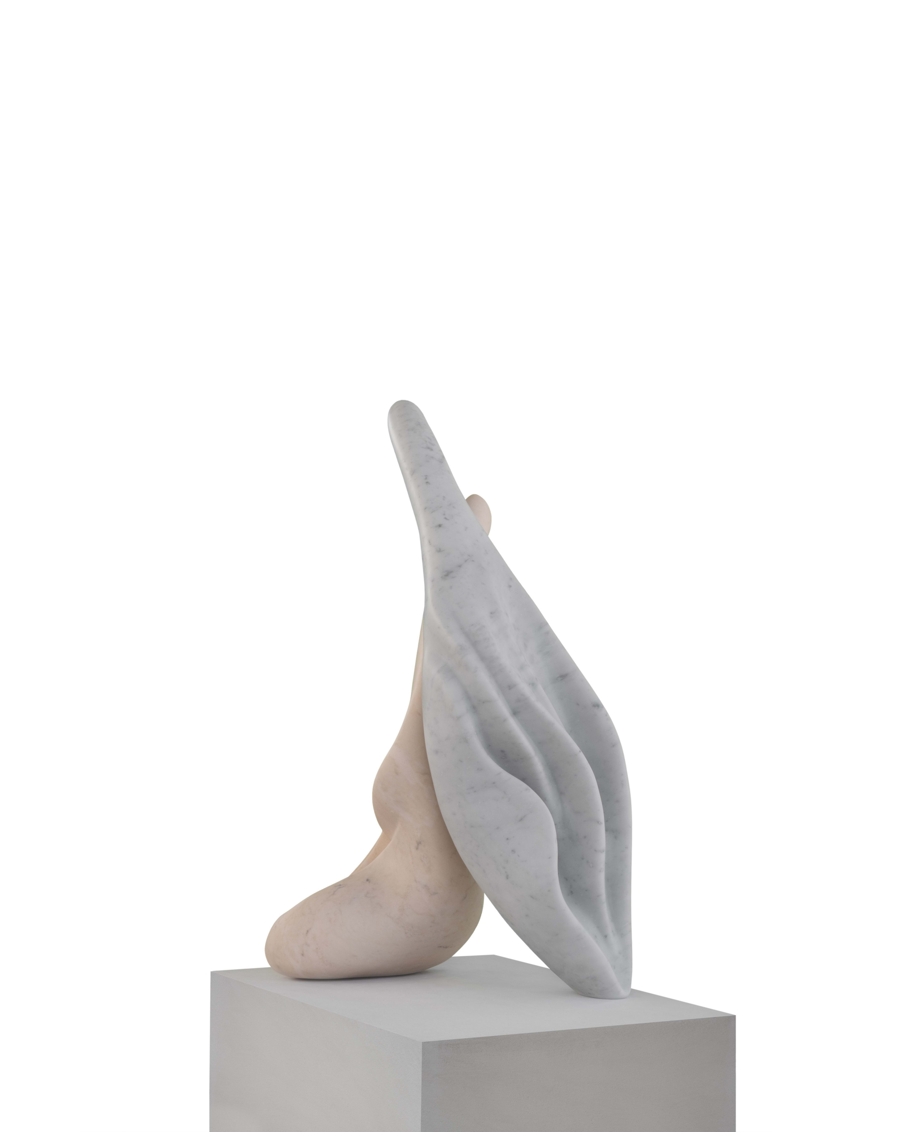 Encompassing, Kapsayan