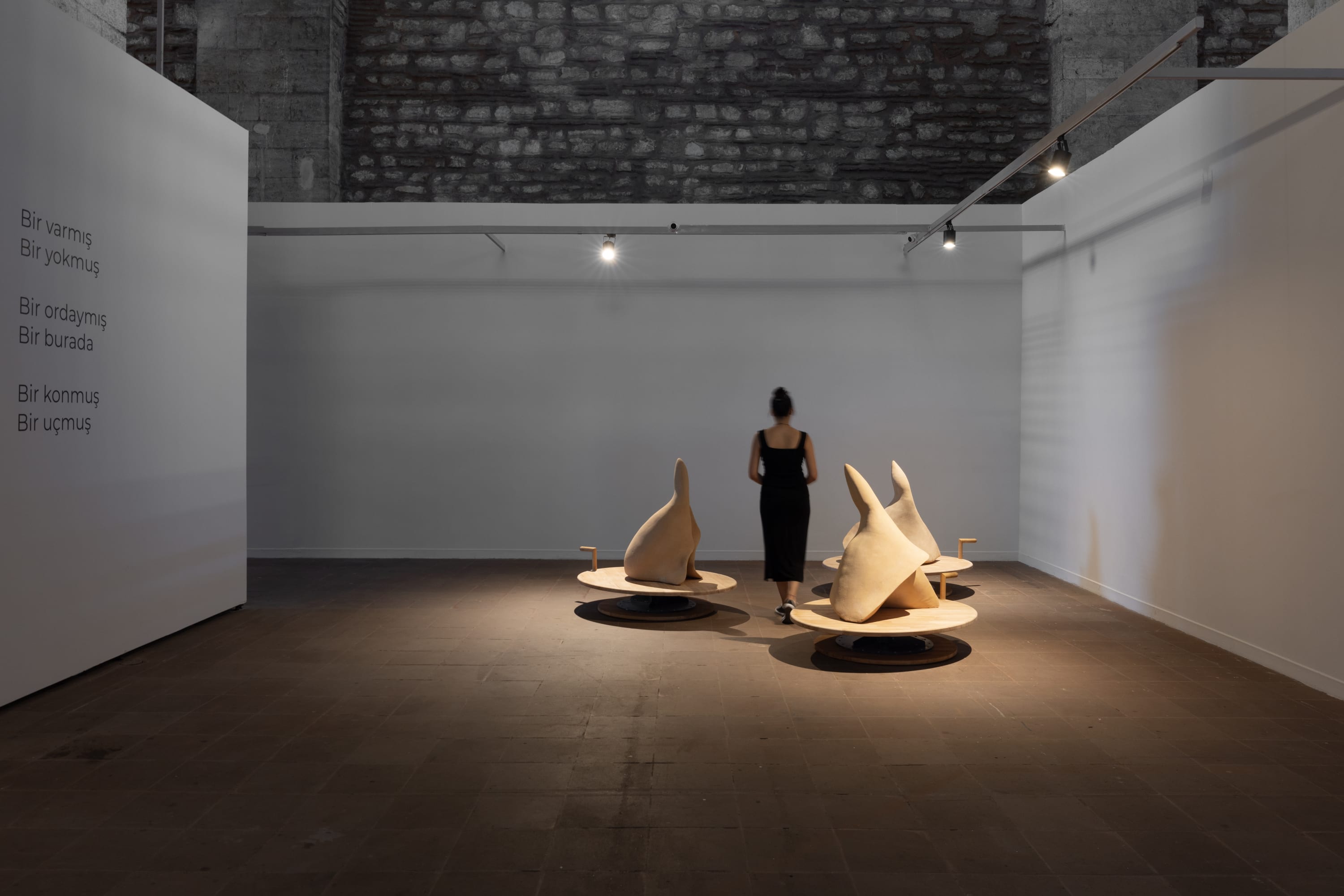 Once Upon A Dream, Once Upon A Time, Once Upon A Land, 2023, Bir Varmış Bir Yokmuş, Bir Ordaymış Bir...