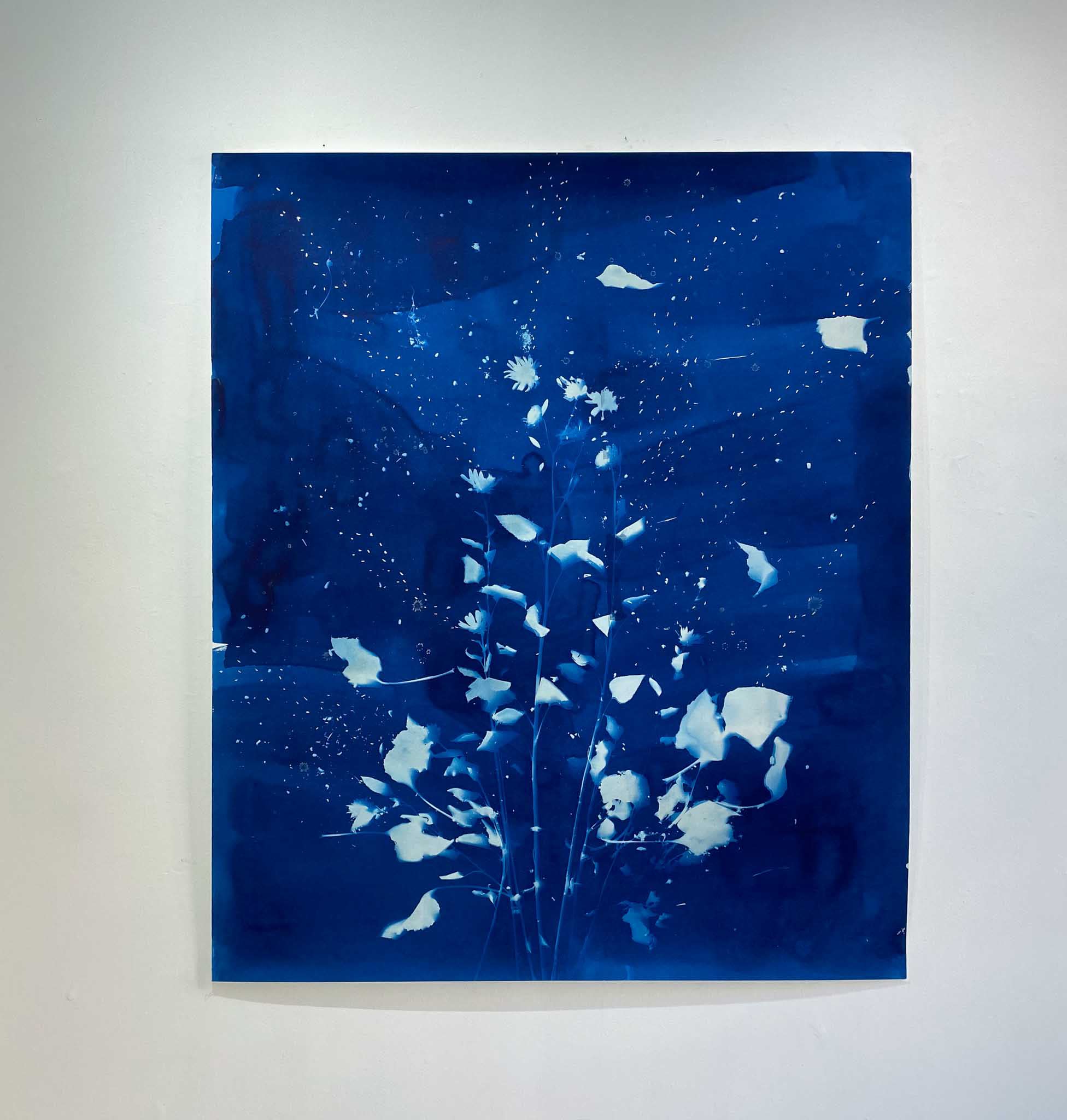 'My work draws upon the imagery of nature, the sciences, and the cosmos but it is not limited to a...