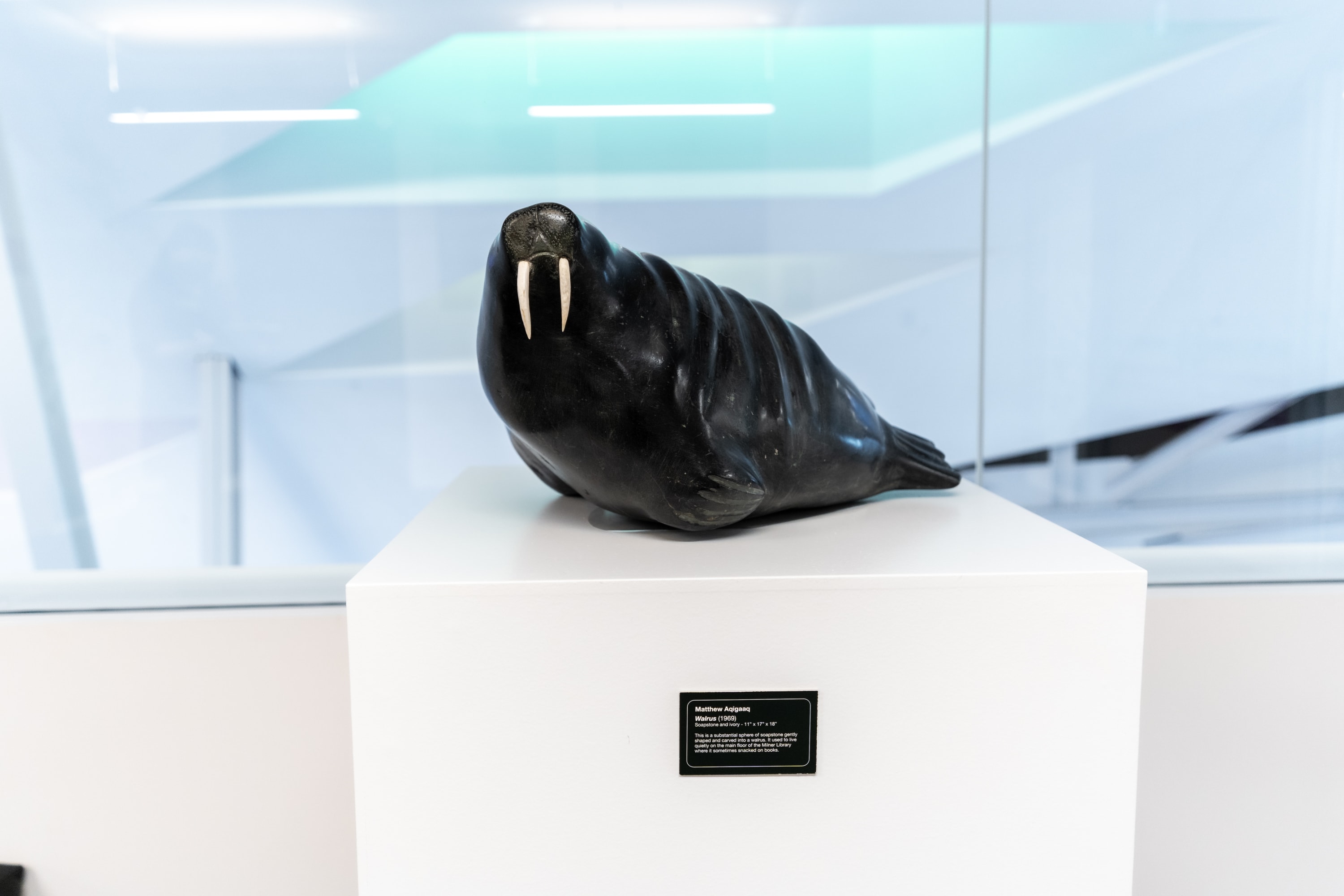 Stanley A. Milner Library, Edmonton Public Library, Curator, 2019-21