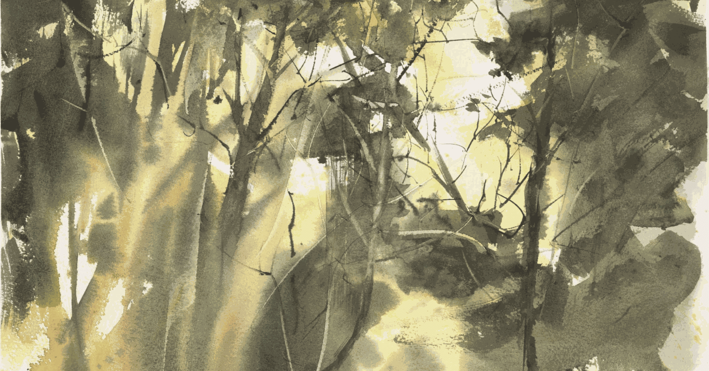 We are proud to be a part of Ecologi, and plant a tree for every art sale. What would the...