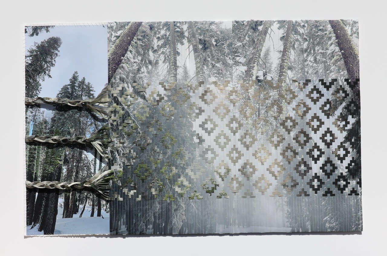 Sarah Sense (b. 1980)