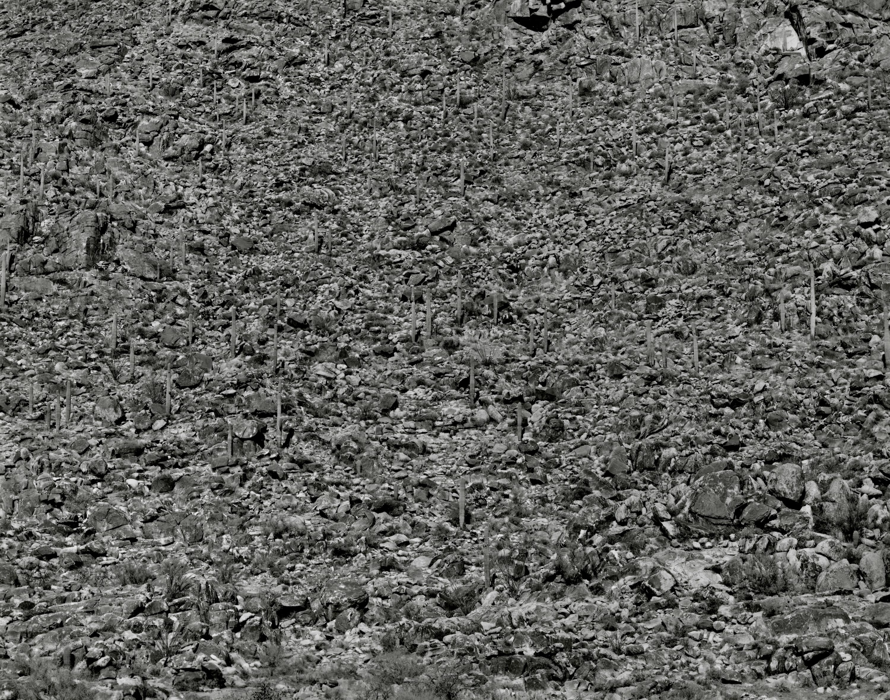 Frederick Sommer (1905-1999) Arizona Landscape, 1943 Gelatin silver print mounted to board, printed later Signed, titled and dated in pencil...