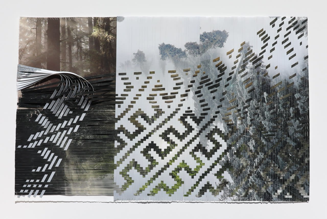 Sarah Sense (b. 1980)