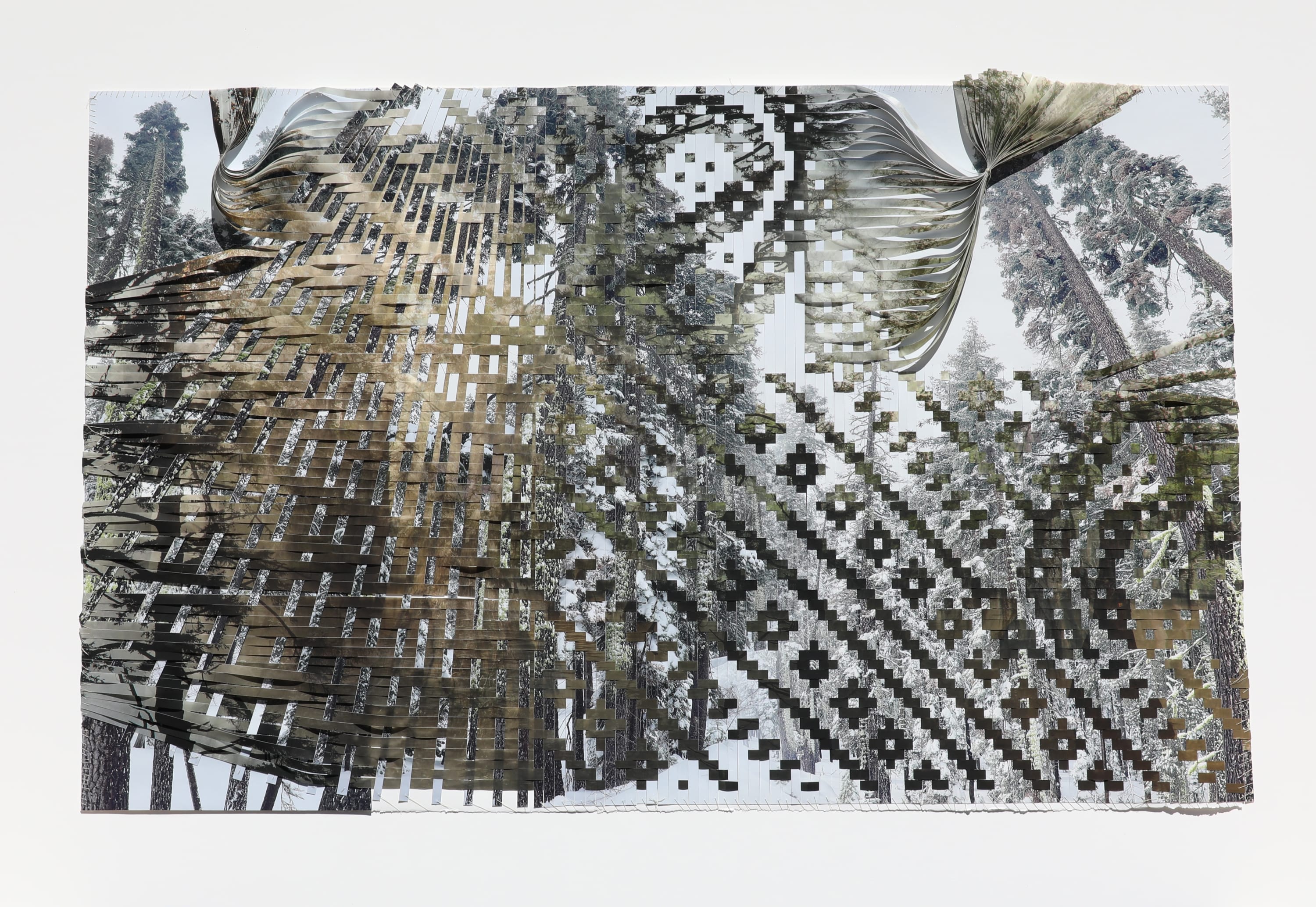 Sarah Sense (b. 1980)