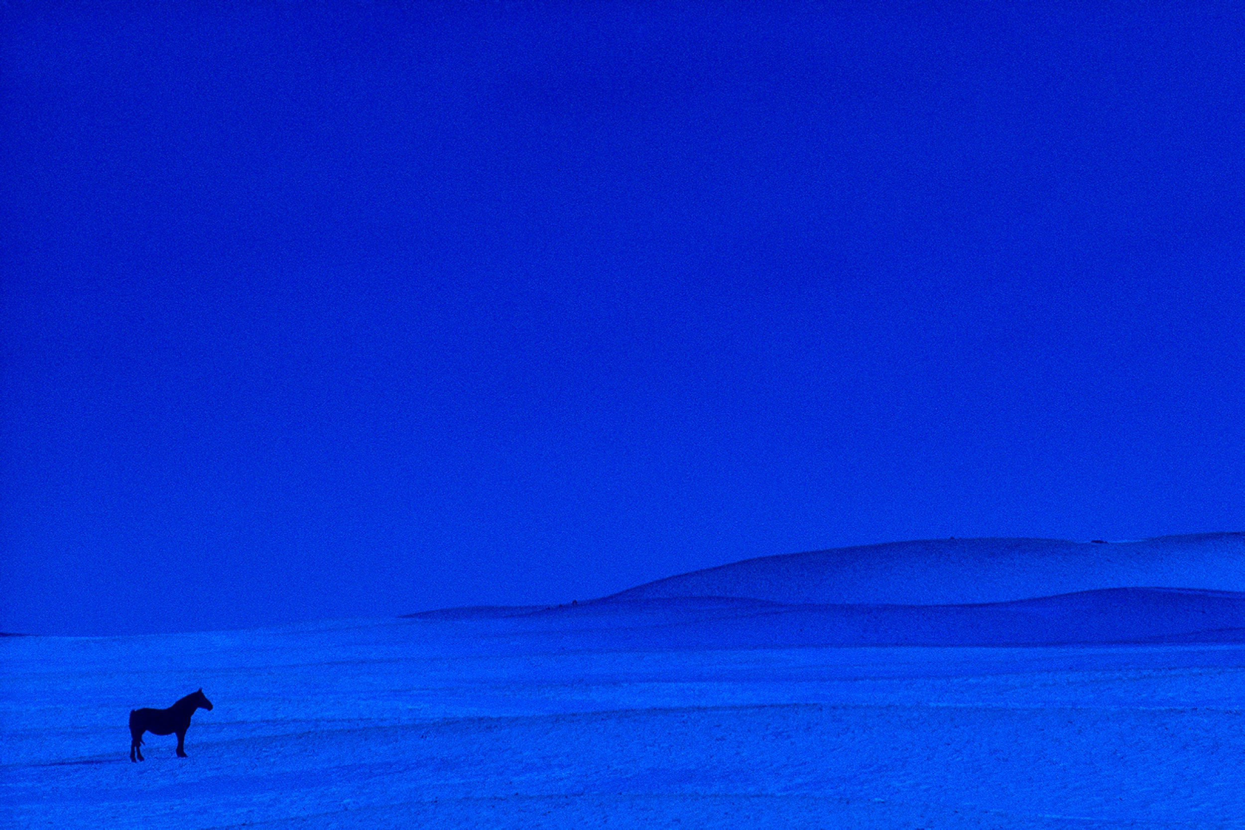 Pete Turner (1934-2017)
