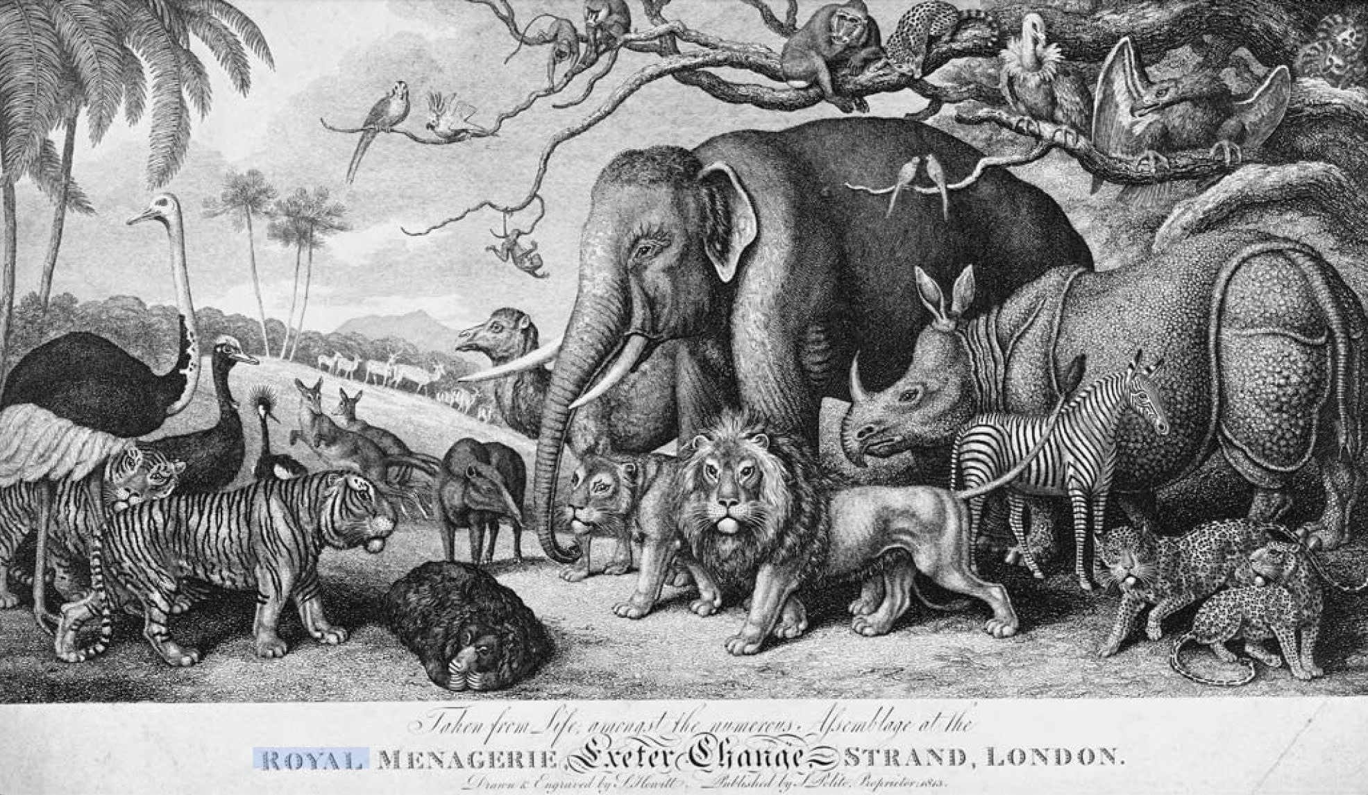 CREATING THE ROYAL BEASTS AT THE TOWER - KENDRA TALKS ABOUT THE HISTORIC ROYAL PALACES COMMISSION