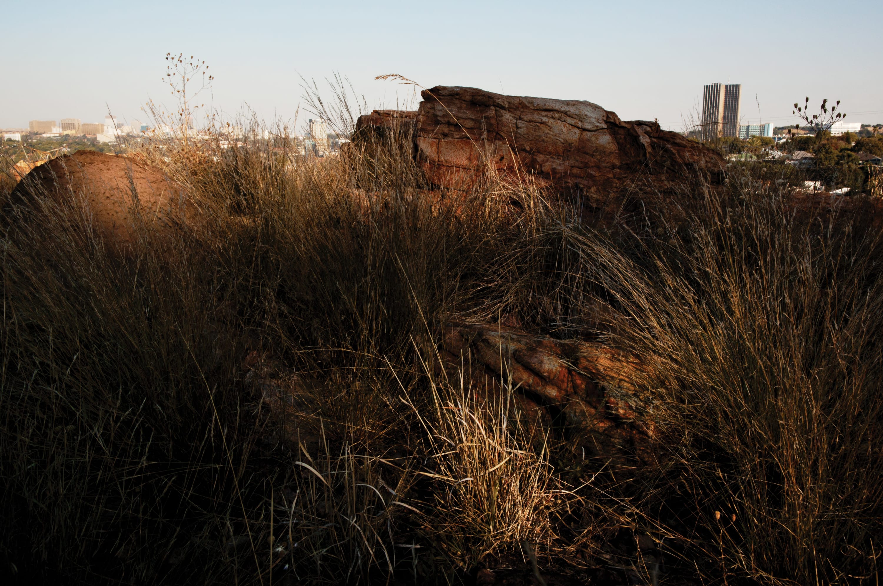 Layers of history are buried in the Melville Koppies landscape on one of the few remaining archaeological sites in Johannesburg....