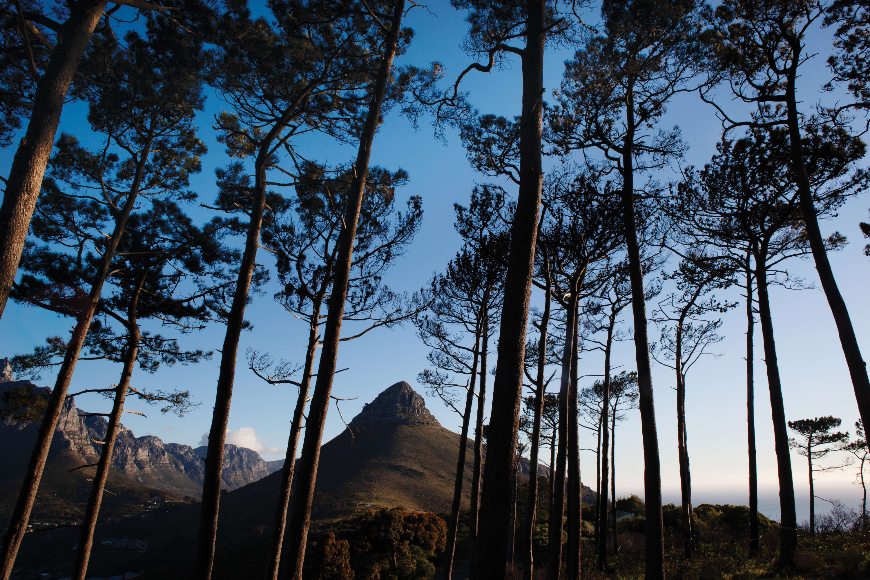 There are about 3 million foreign Africans living in South Africa, among which is a group of about 30 000...