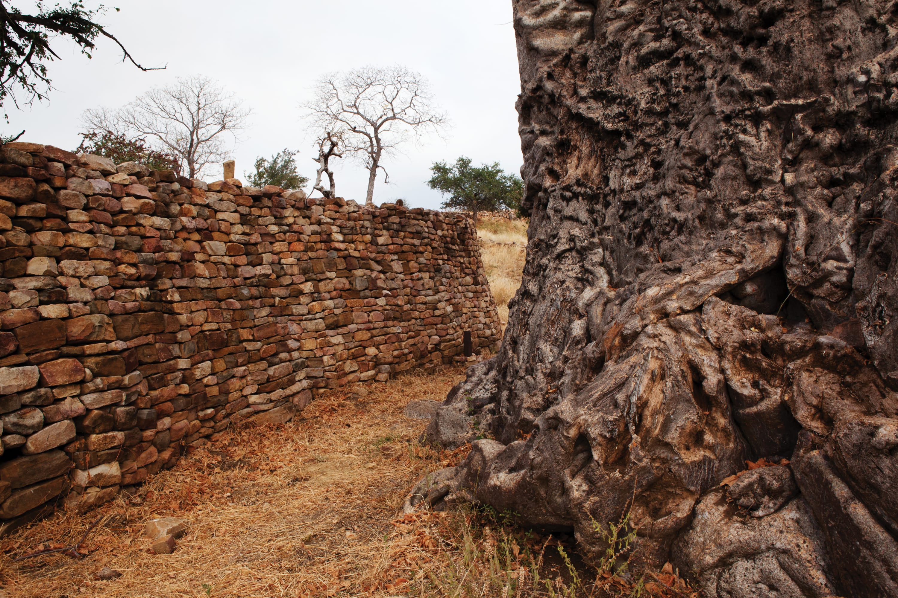 Thulamela is a sacred site of the Vha-Venda people that is linked to Mapungubwe and the Great Zimbabwe complex of...