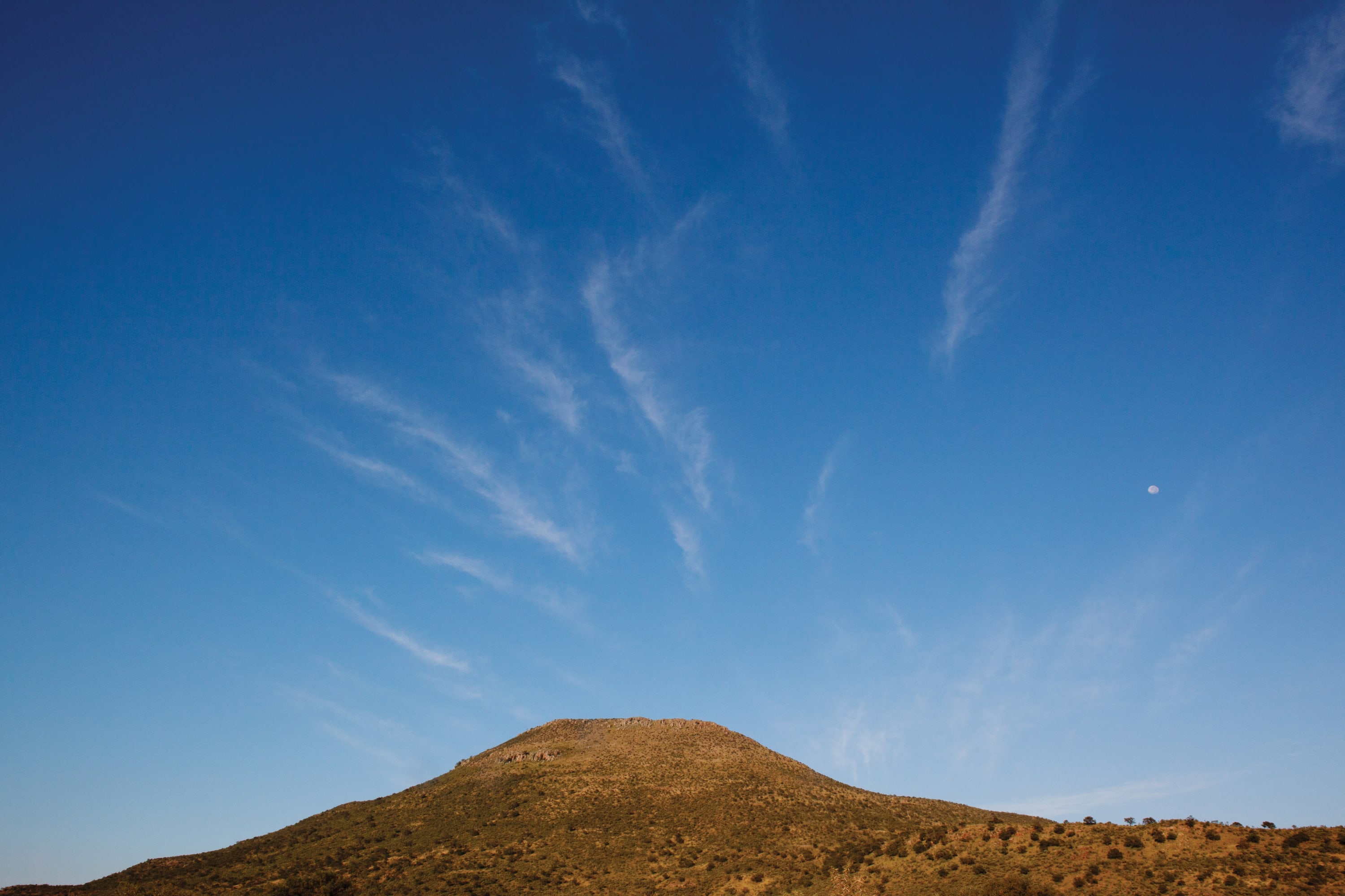 On the morning of 24 May 1921, a force consisting of 800 white policemen and soldiers confronted an African prophet,...