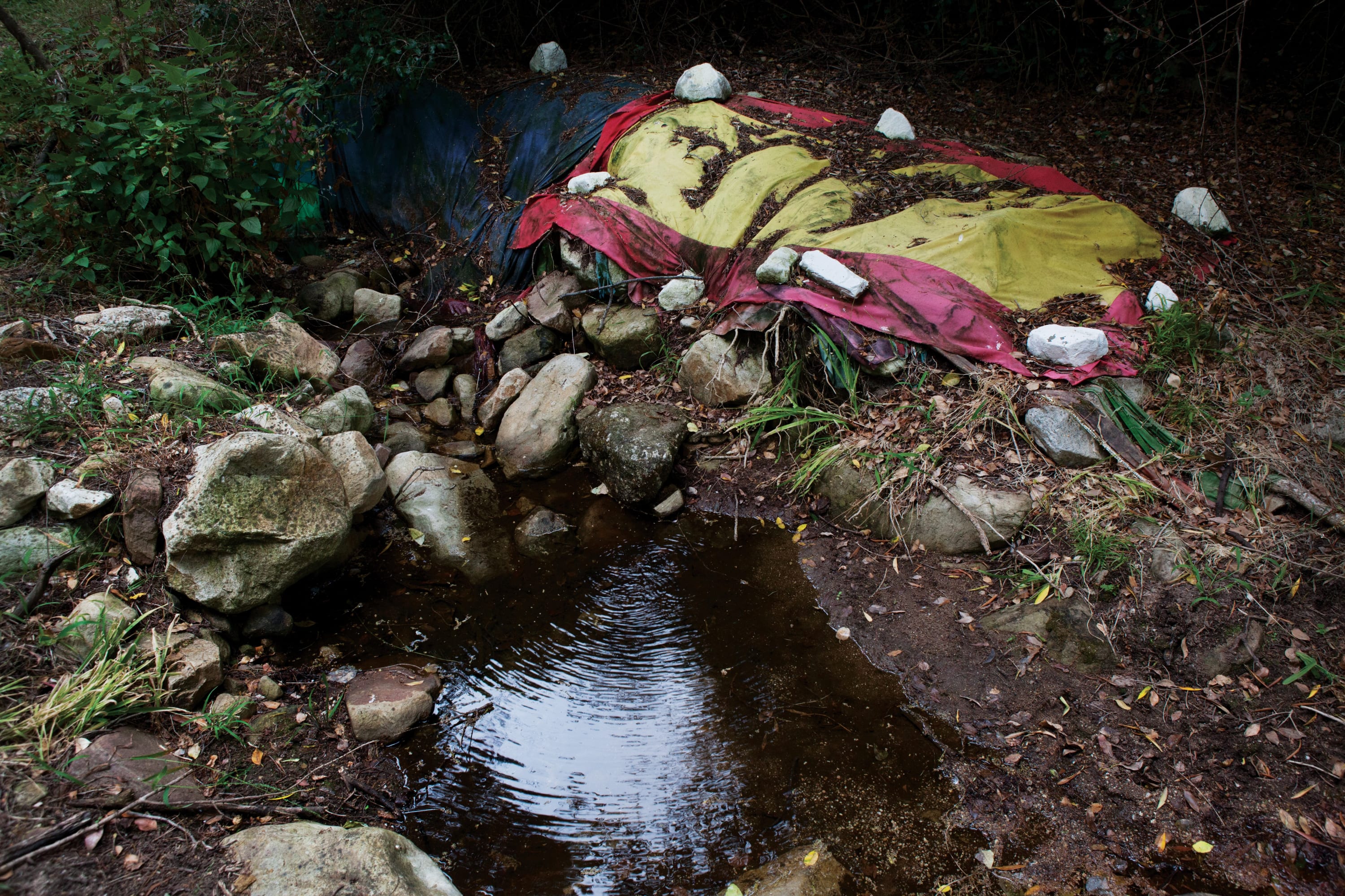 The Dutch East India Company (VOC) brought practising Muslim slaves (including a number of high-ranking imams) from Indonesia, Malaysia and...