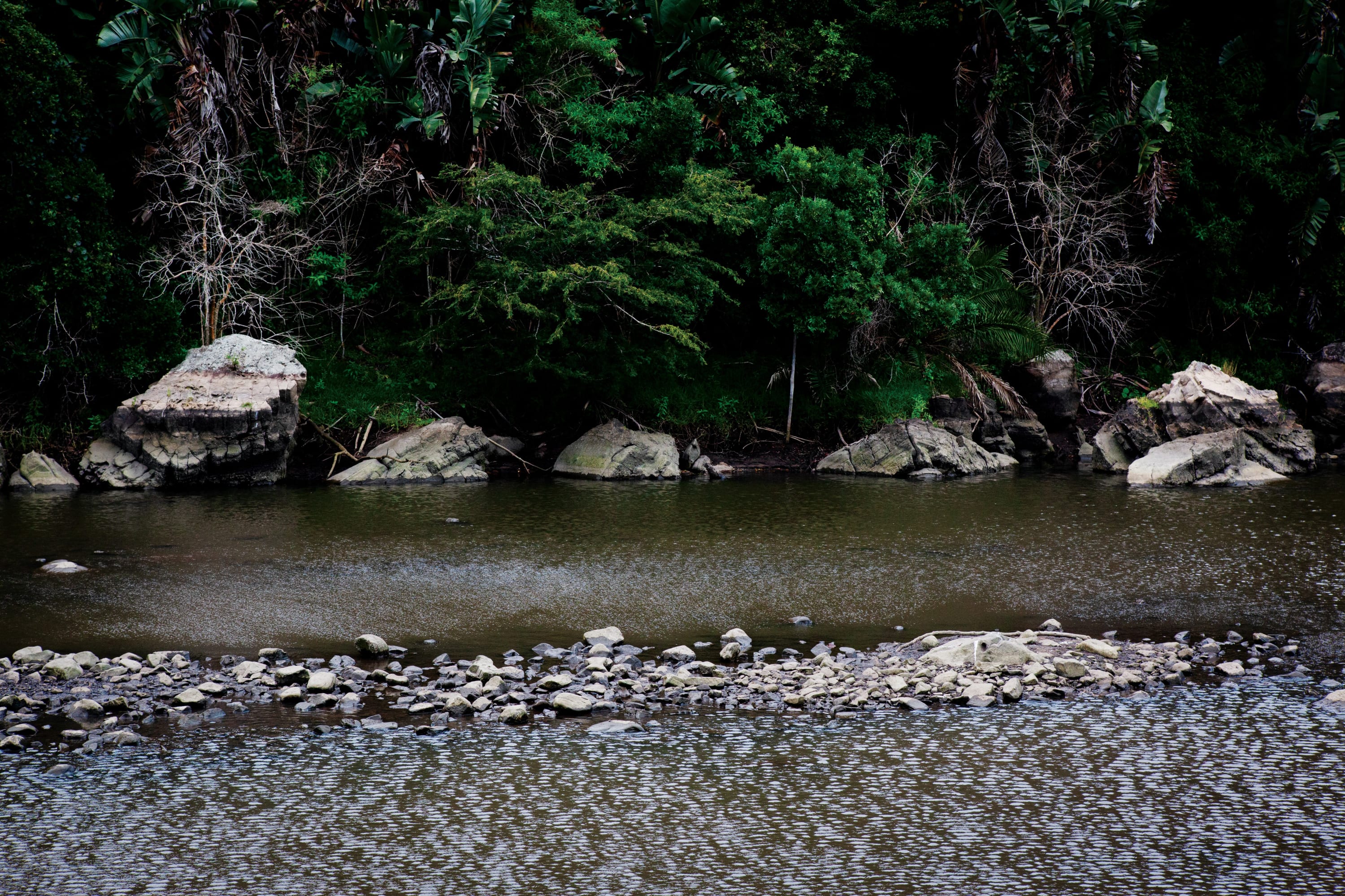 In the mid-19th century, the Xhosa prophetess Nongqawuse received revelations from her ancestors at the Gxarha river mouth valley that...