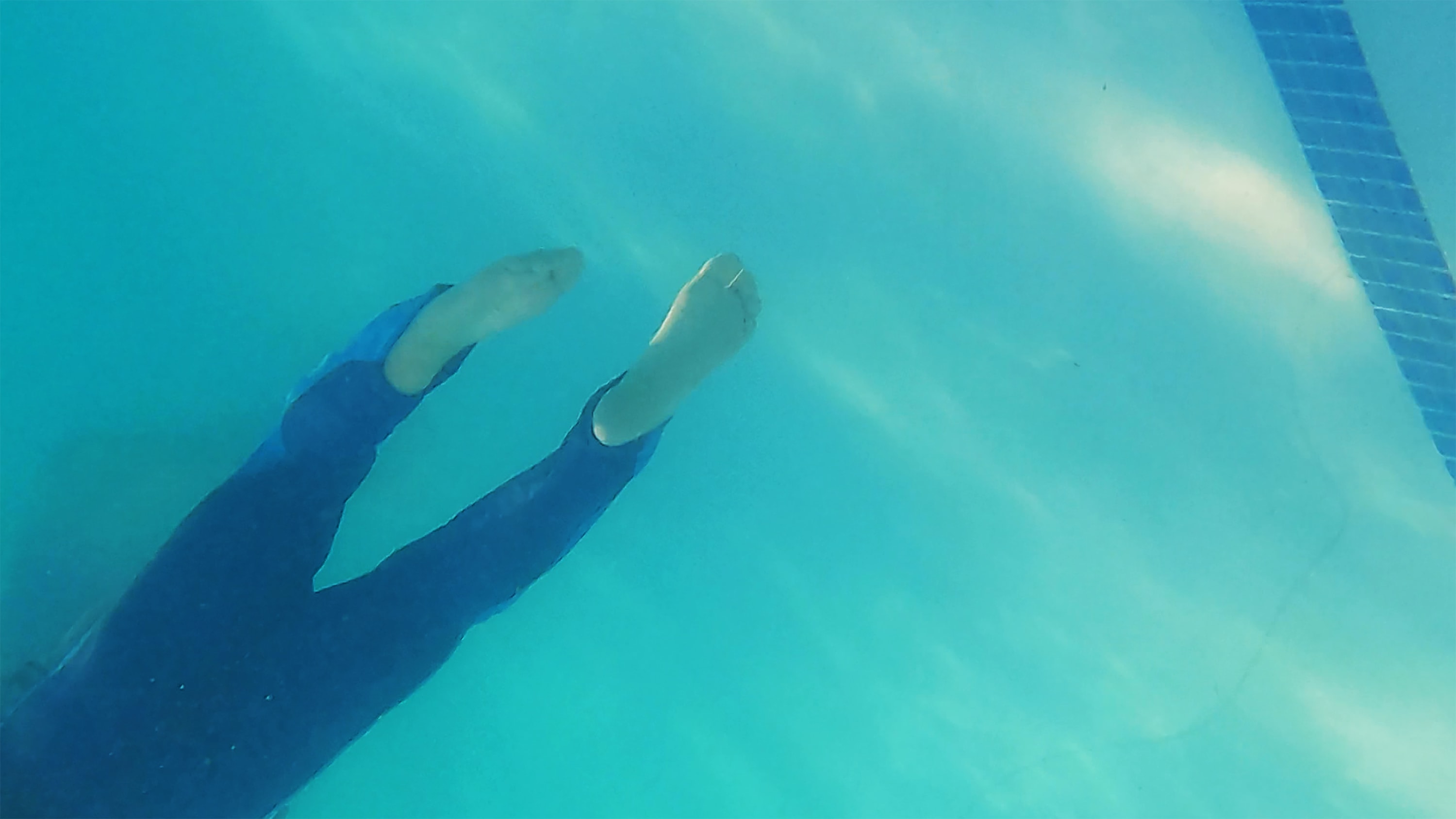 We Are All Mothers is a video essay under the rubric of the collaborative and interdisciplinary research project, Learning Endings....