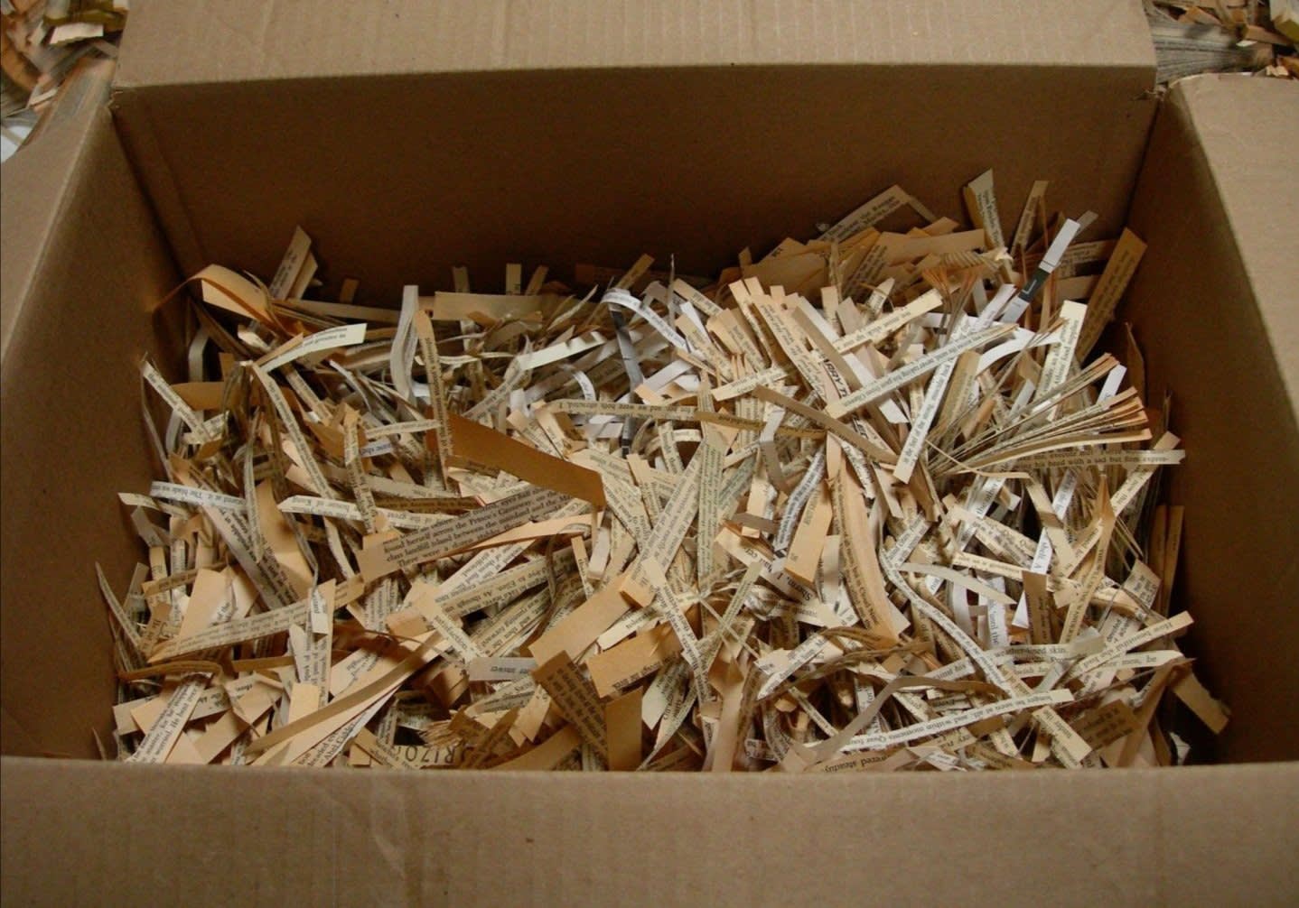 Collected word cut-outs from books, used in the book endpaper collages. Image provide by the artist.