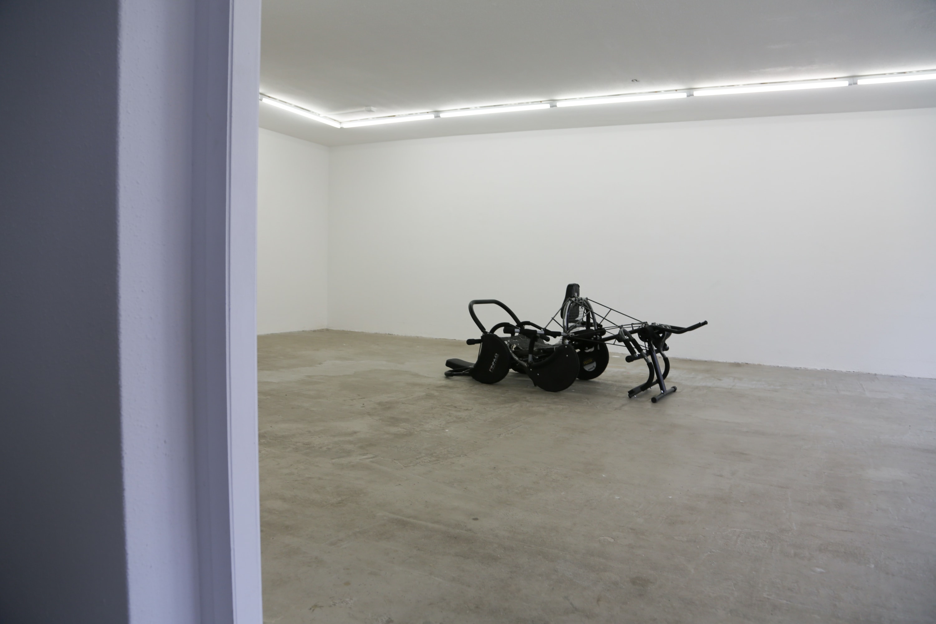 KG: The Hulk's Garden combines performance and installation to explore themes of hypermasculinity and transformation. How did you and Liam...