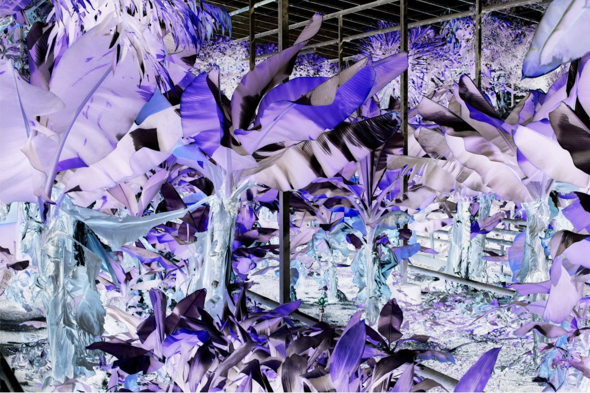 A BOTANICAL FUTURE, Katrín Elvarsdóttir