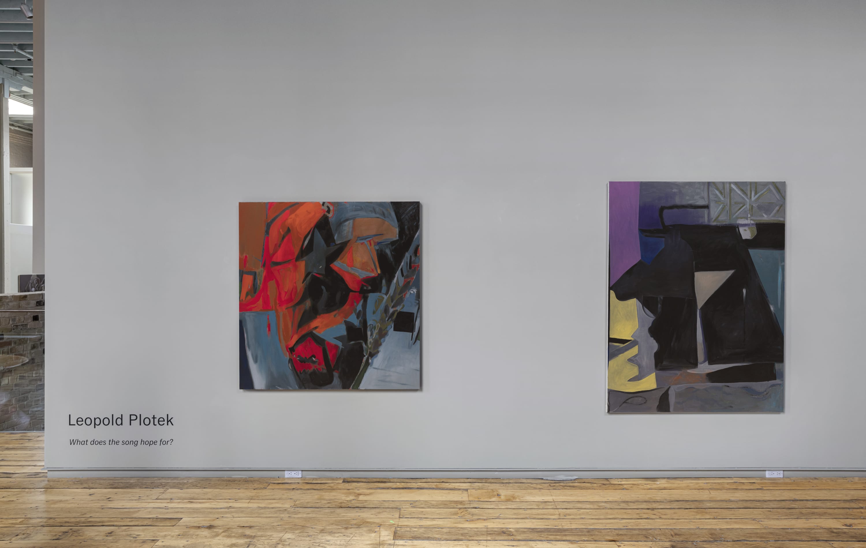 Leopold Plotek, What Does The Song Hope For?