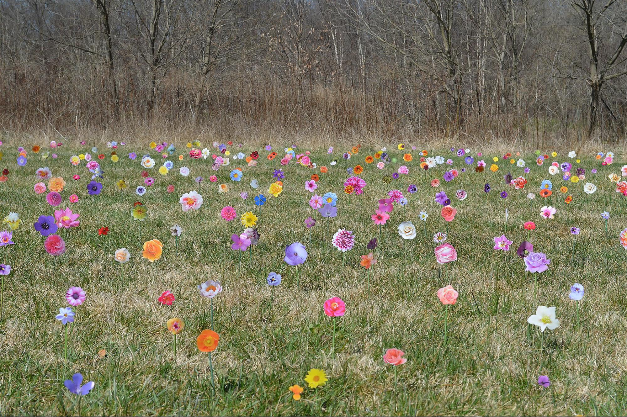 Field I 17 x 26', Digital Print, 2018