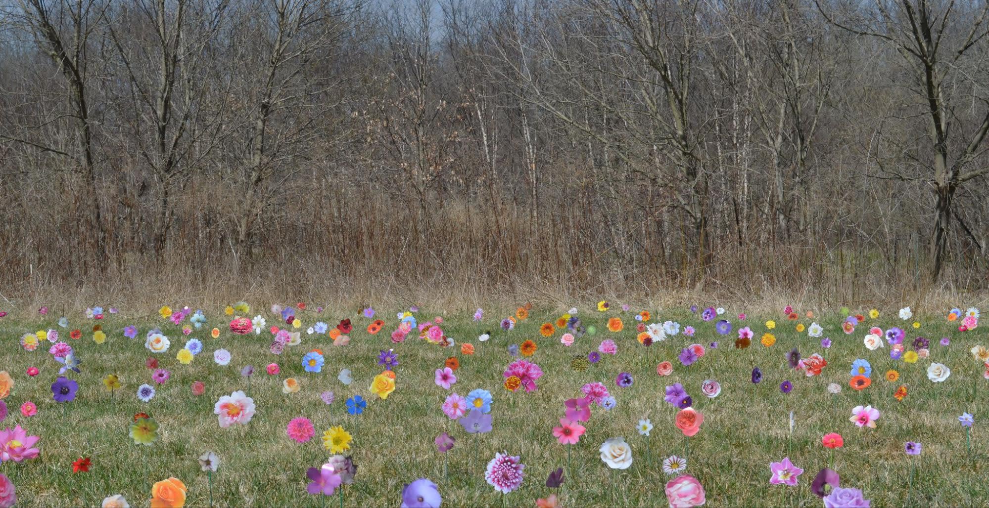 Field II 17 x 33', Digital Print, 2018