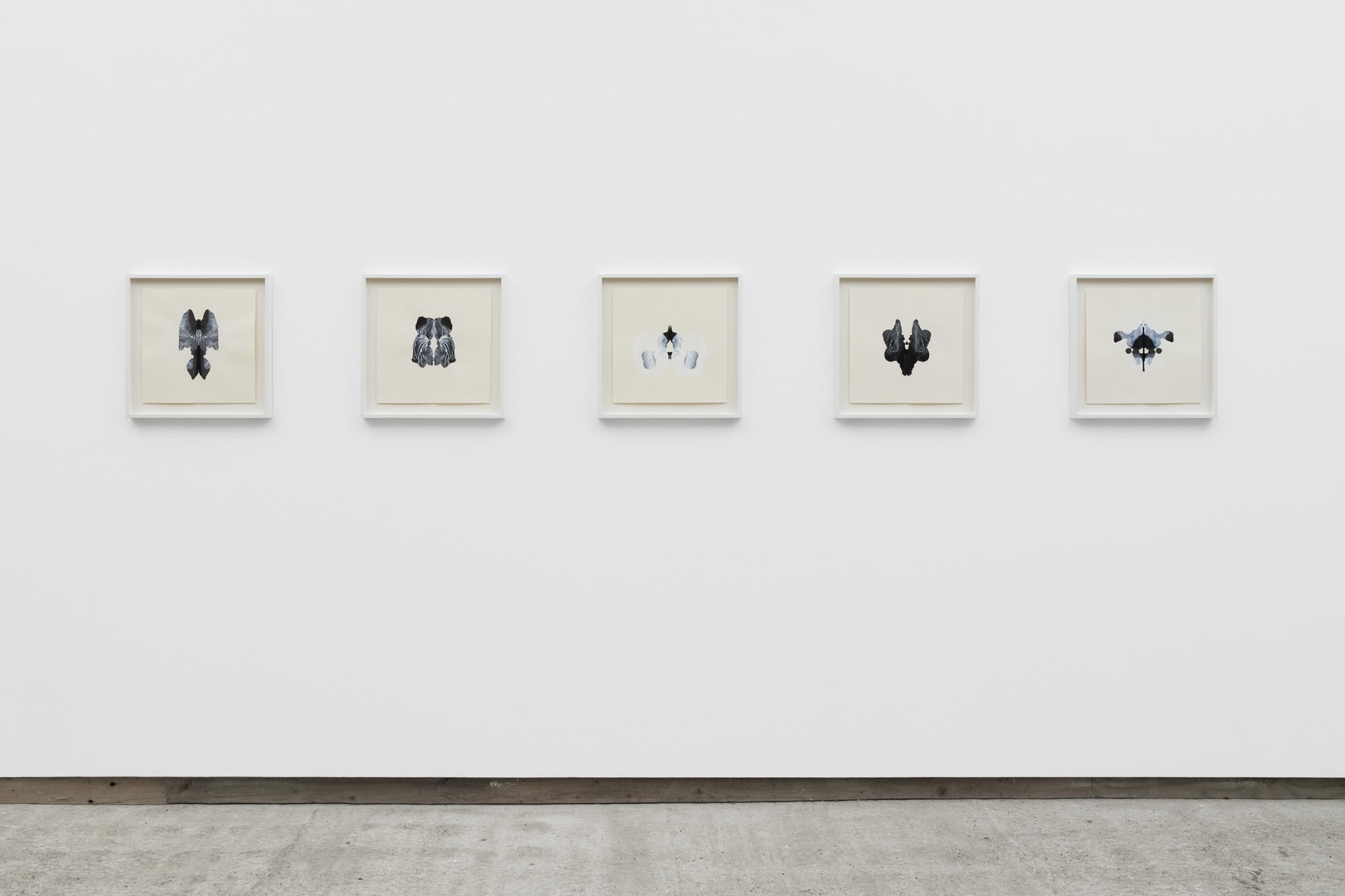 CORNELIA PARKER, Poison and Antidote Drawing, 2010