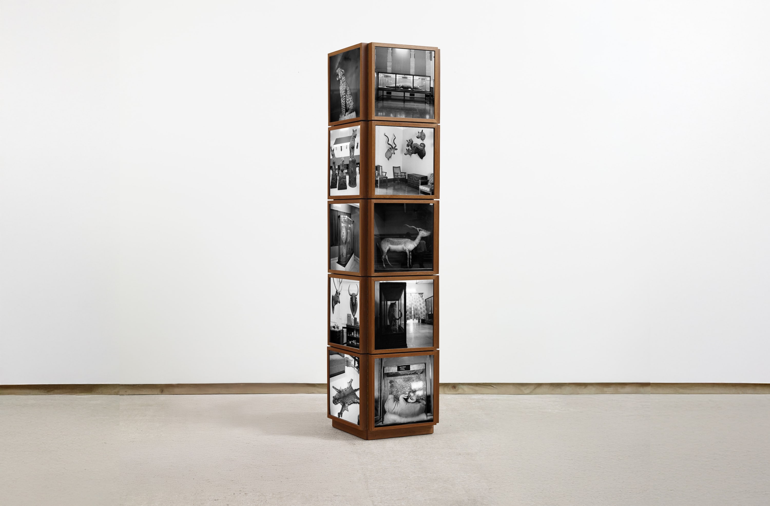 Wildlife of India, 2024