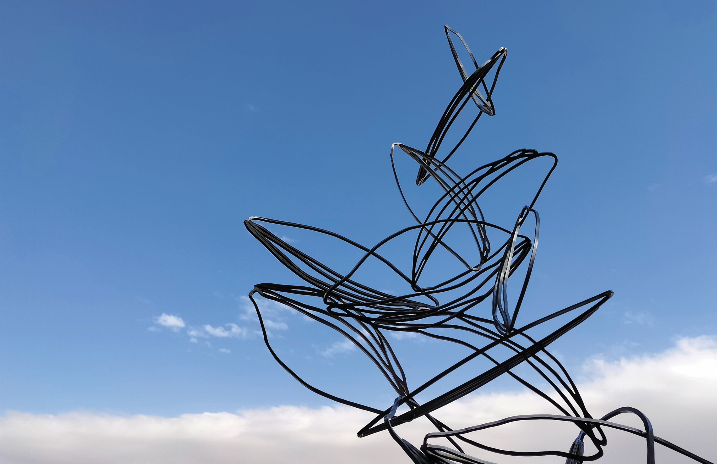 CRISTINA ALMODOVAR, DIFFUSION, 2025