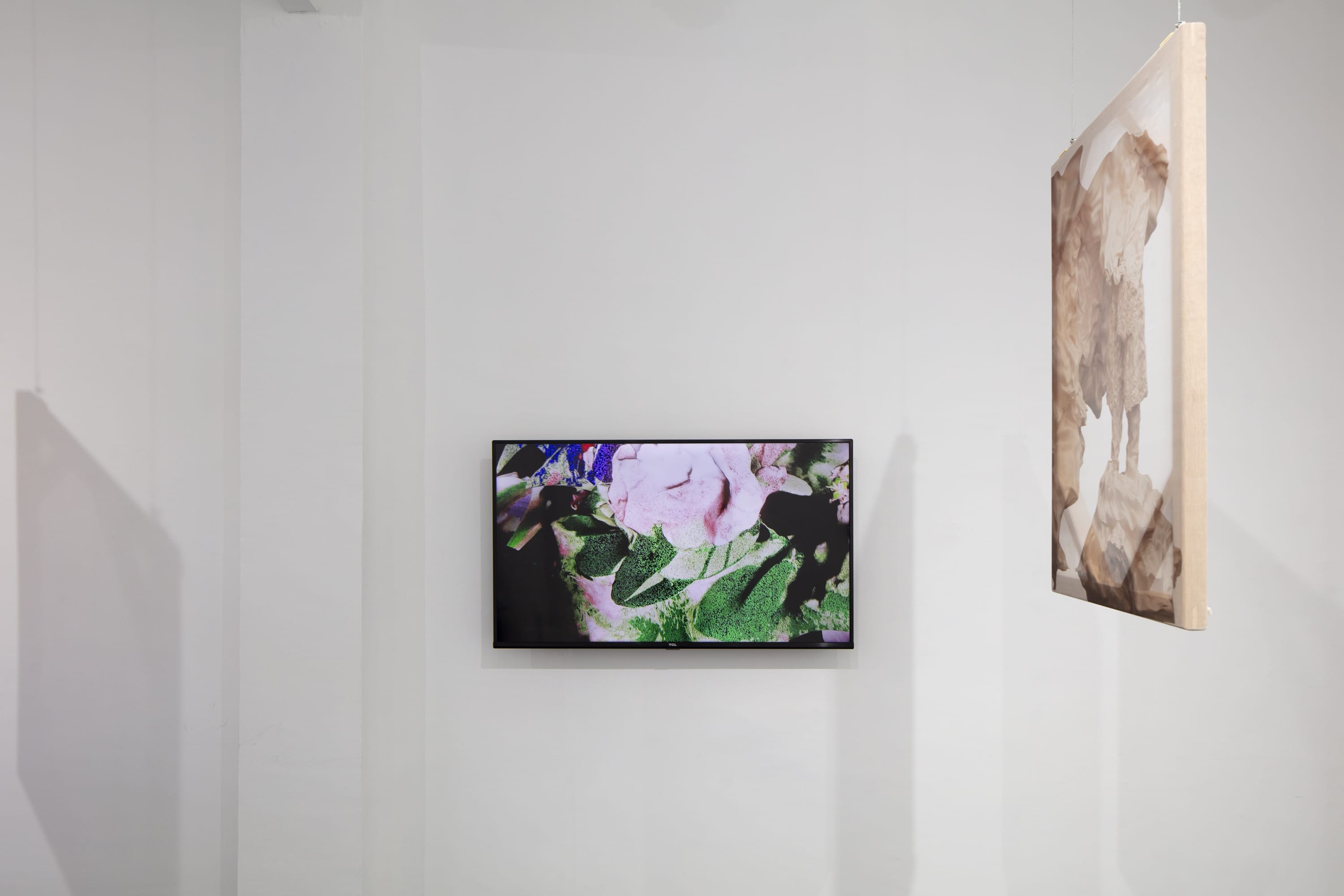 Exhibition view: Julieta Gil, ¿Quién mira a quienes miran?, Campeche, Mexico City, 2024 Courtesy of the artist and Campeche, Mexico...