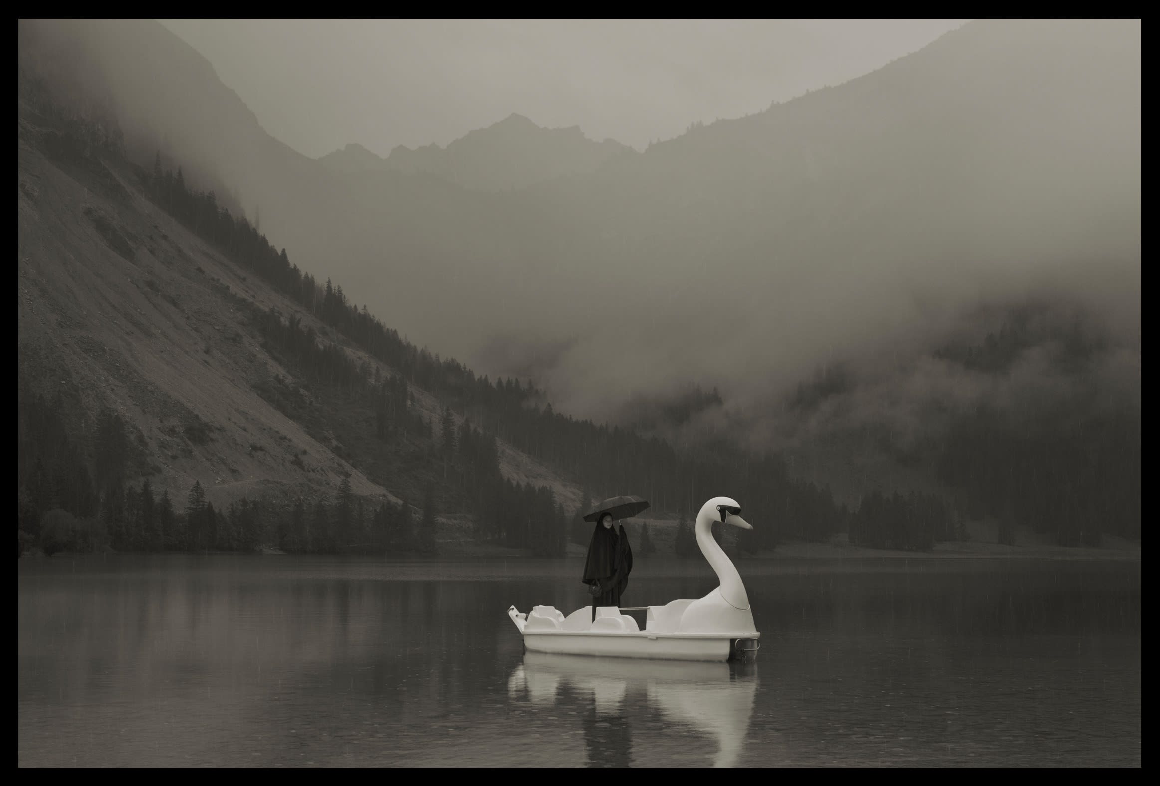 Der Schwan, 2020 Chromogenic print 11 3/4 x 17 3/4 inches, edition of 7 27 1/2 x 41 3/8 inches,...