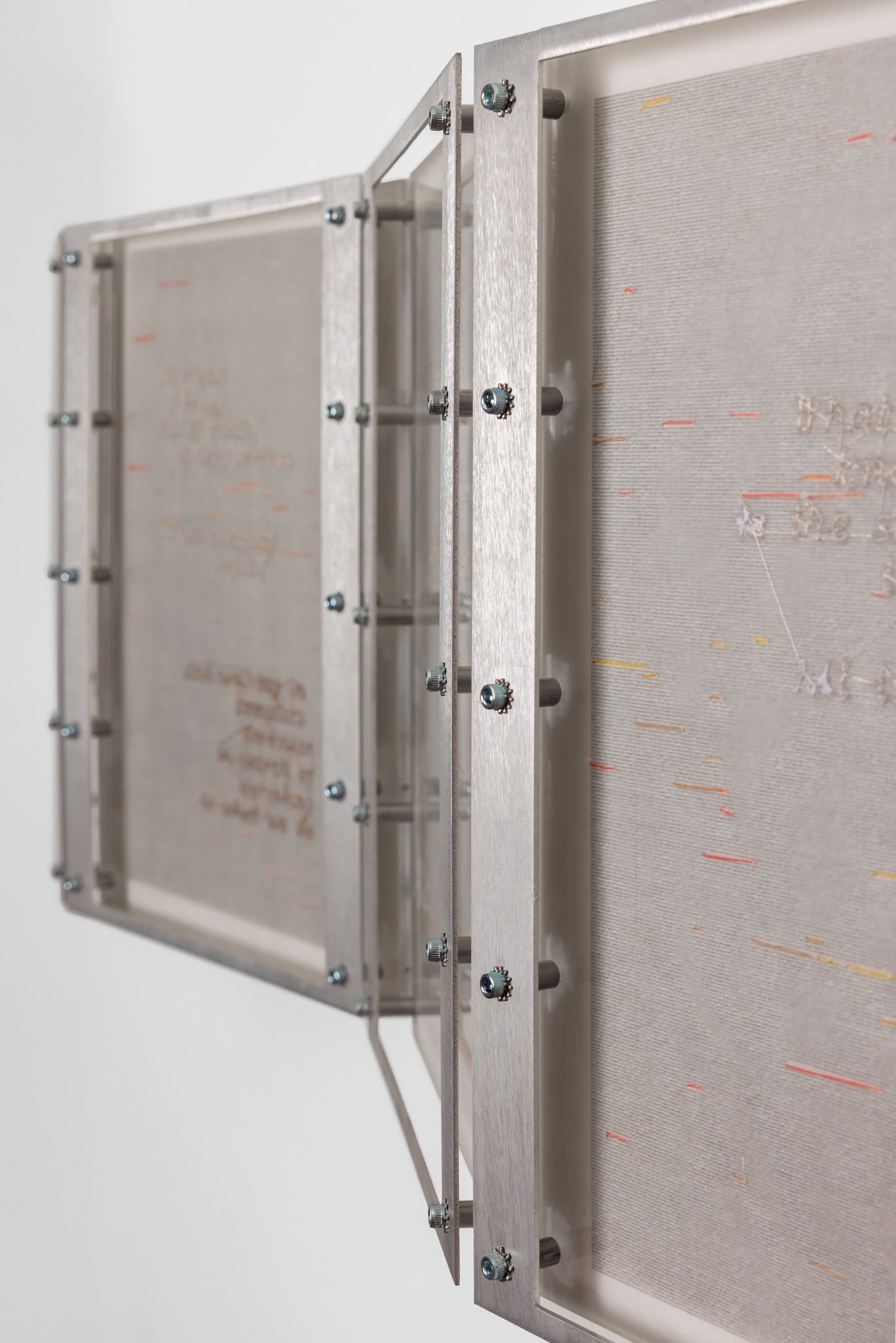 Xin Liu Fortune Teller: Água Viva, 2024