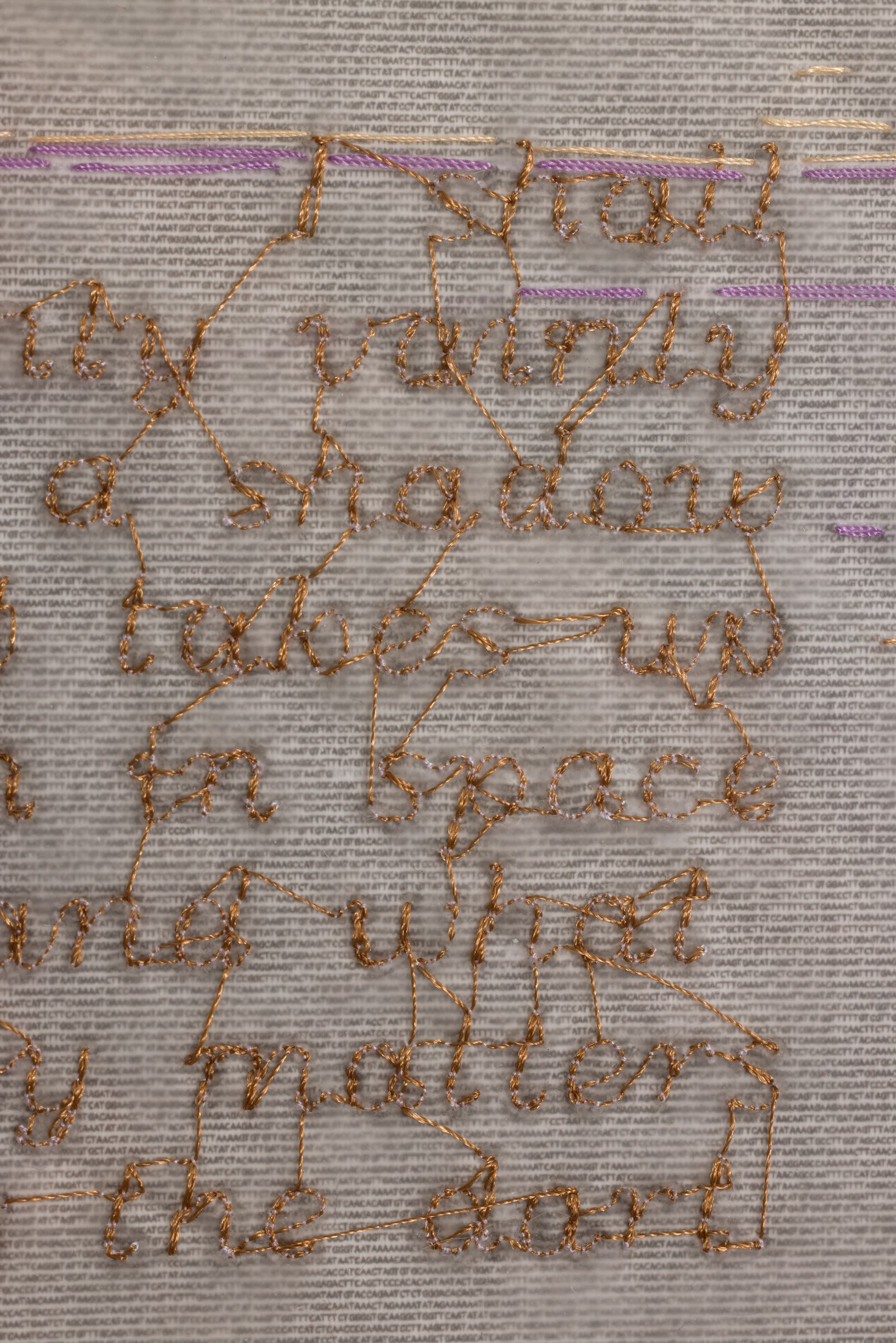 Xin Liu Fortune Teller: Água Viva, 2024