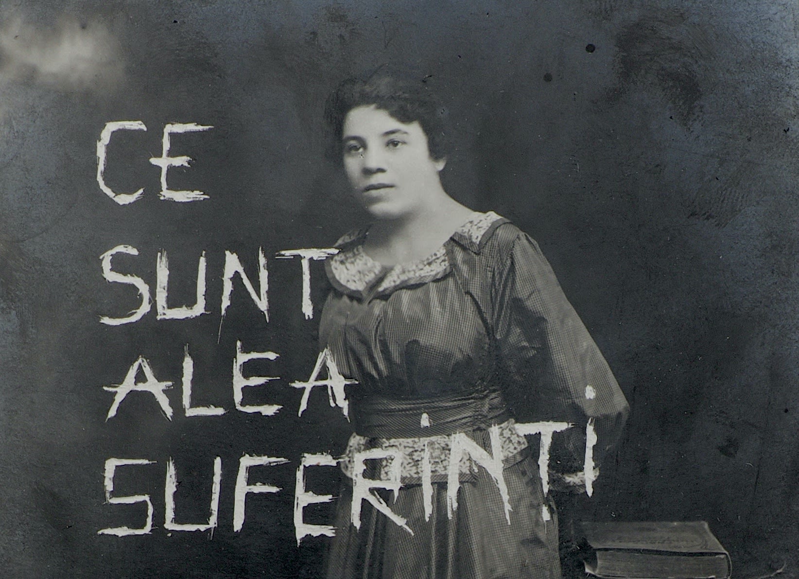 BEATRICE ARZOIU, Despre Beatrice