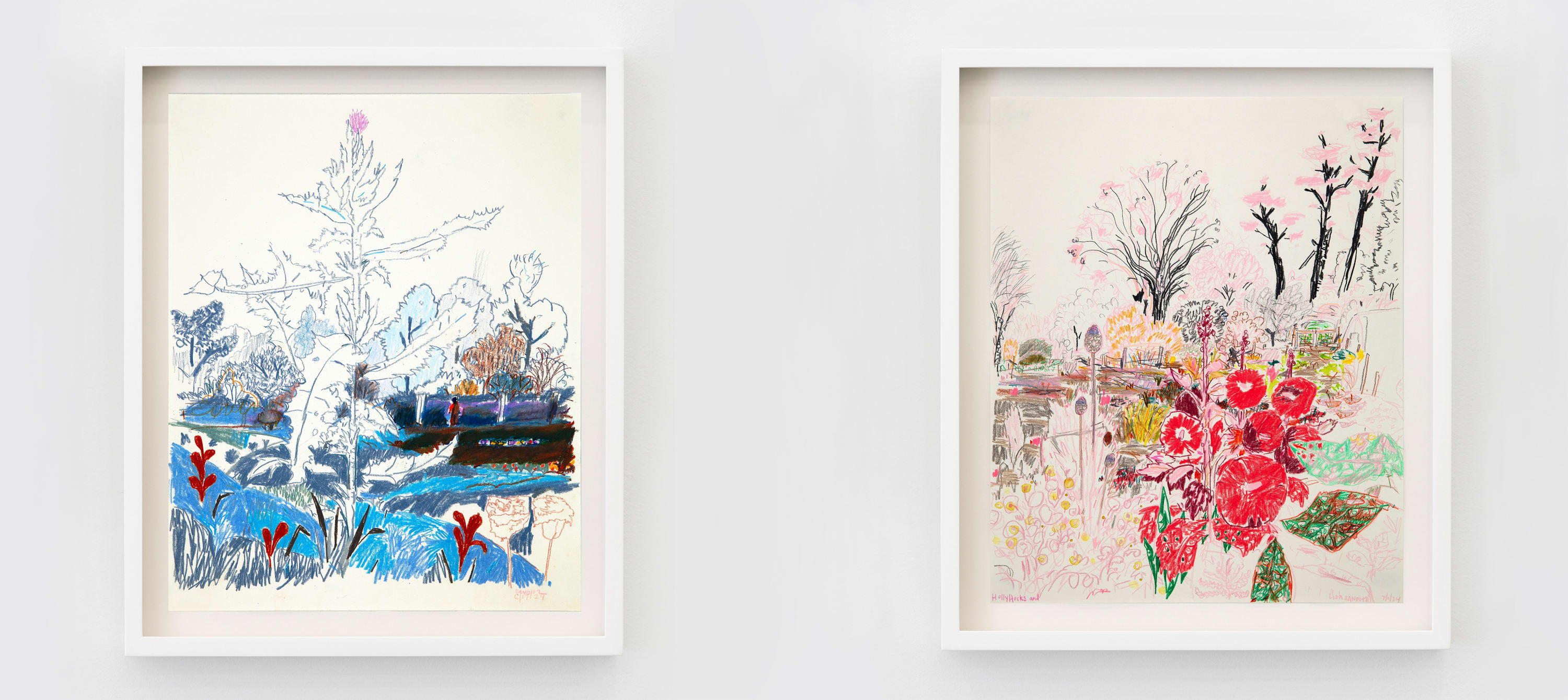 (Left) Lisa Sanditz, Thistle, 2024, Colored pencil on paper, unframed, 14 x 17 in; 35.6 x 43.2 cm (Right) Lisa...