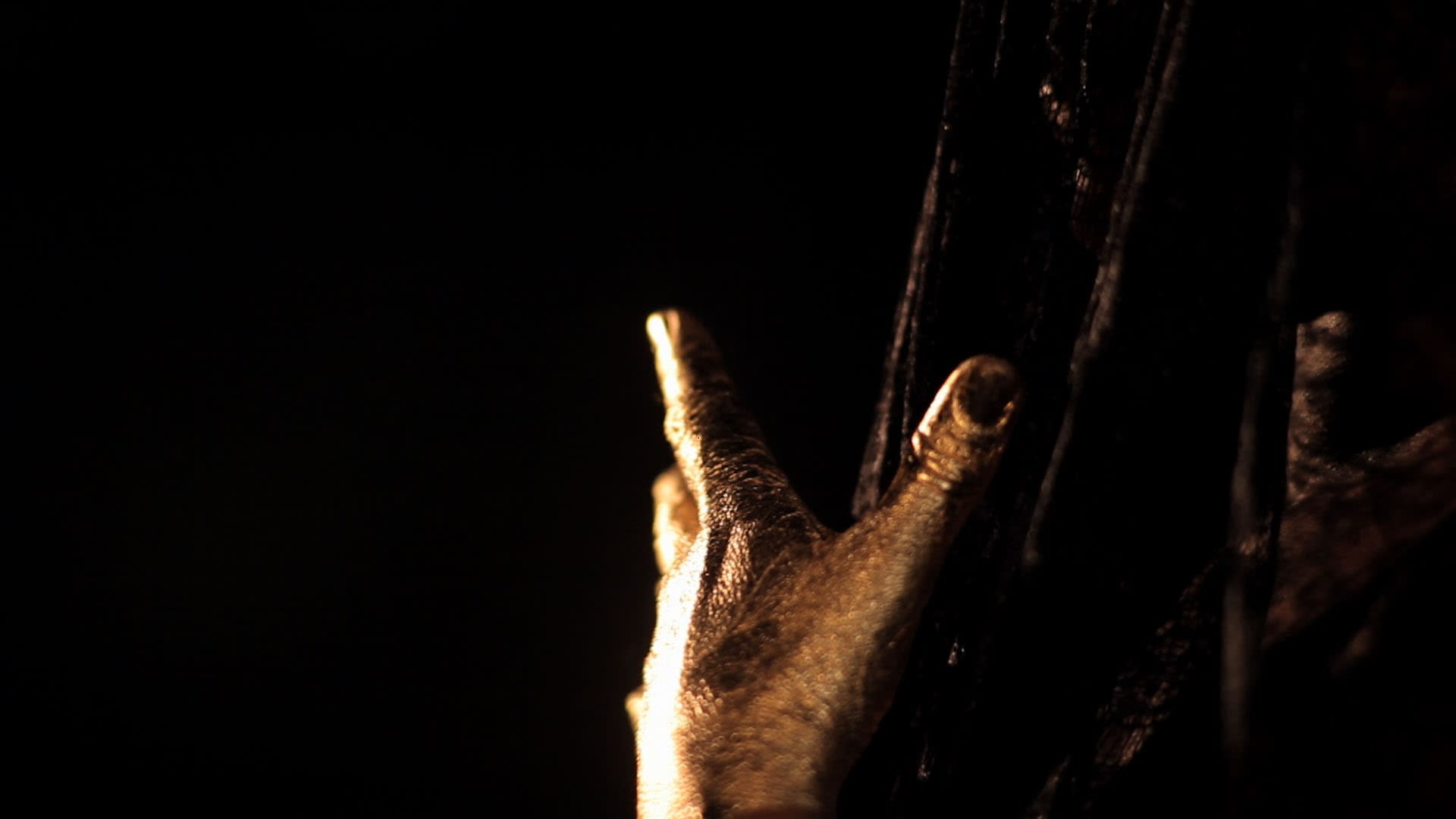 Berni SEARLE Interlaced, 2011 Three-channel video projection HD video, sound, colour, synchronised 8 minutes 30 secs Edition of 5 +...