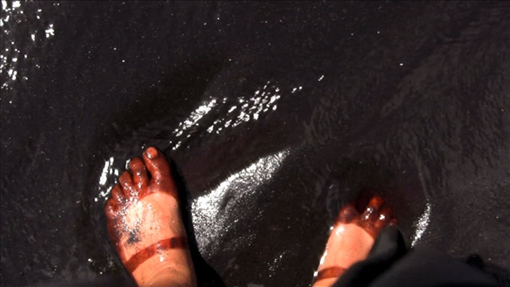 Berni SEARLE SEEKING REFUGE, 2008 Single channel video projection Colour, sound 5 minutes 56 secs Edition of 5 + 2...